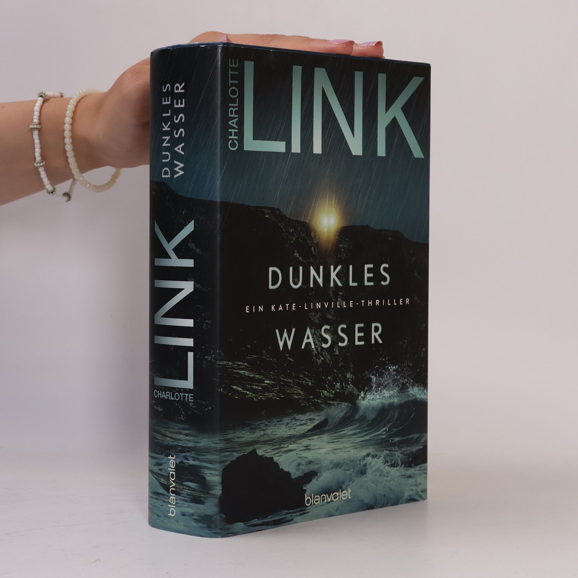 Charlotte Link Dunkles Wasser