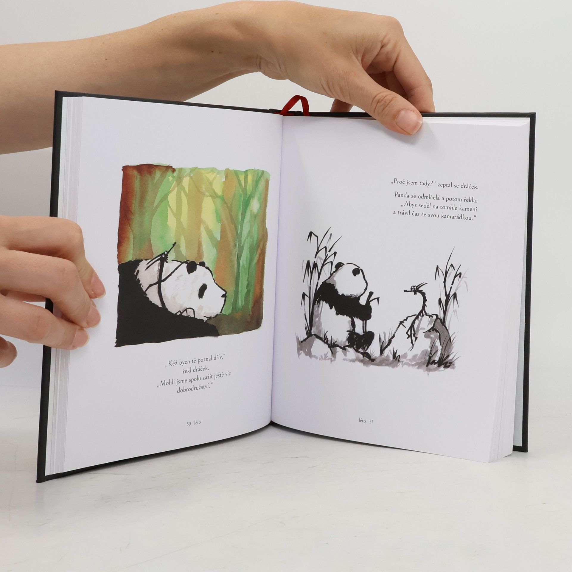 James Norbury Panda a dráček