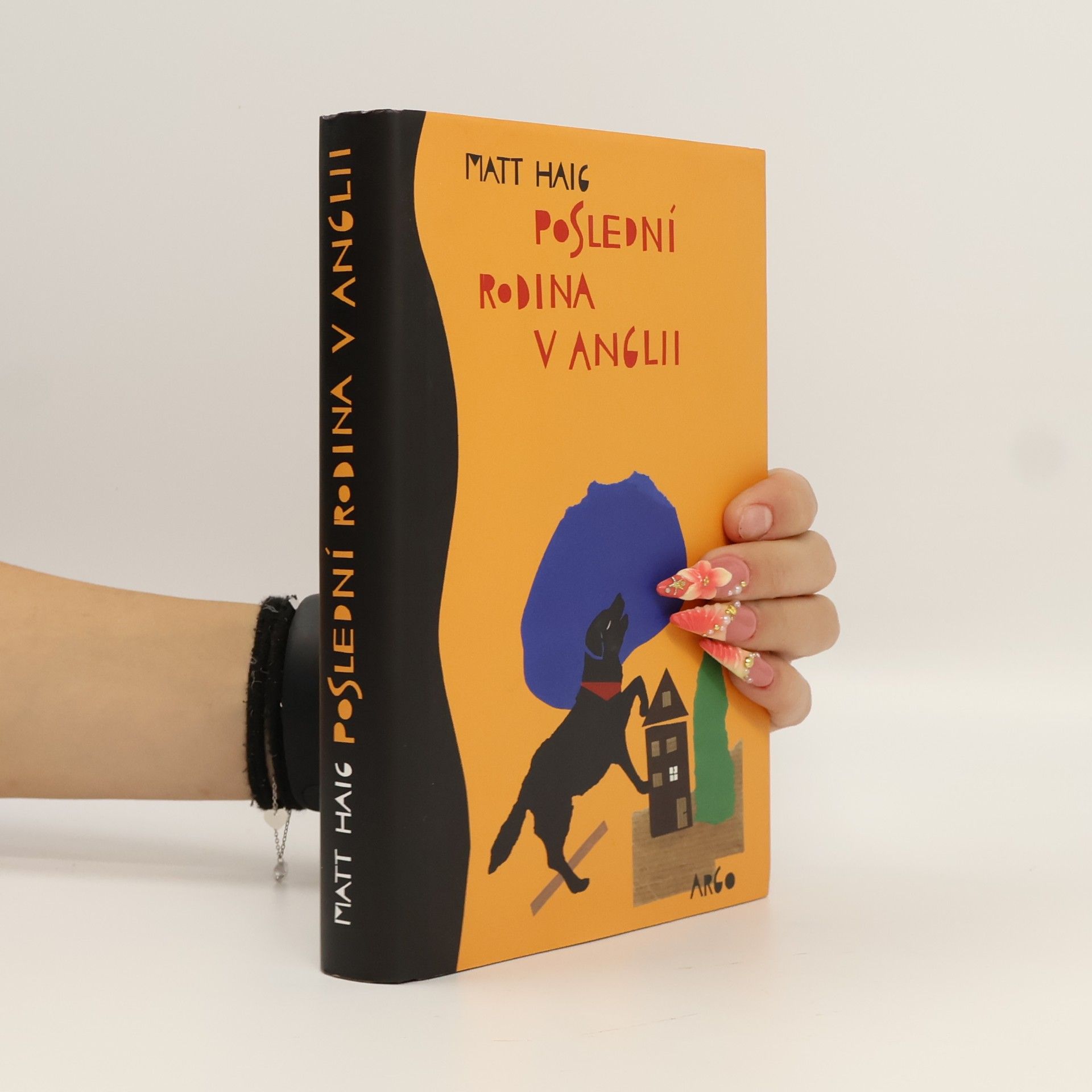Matt Haig Poslední rodina v Anglii