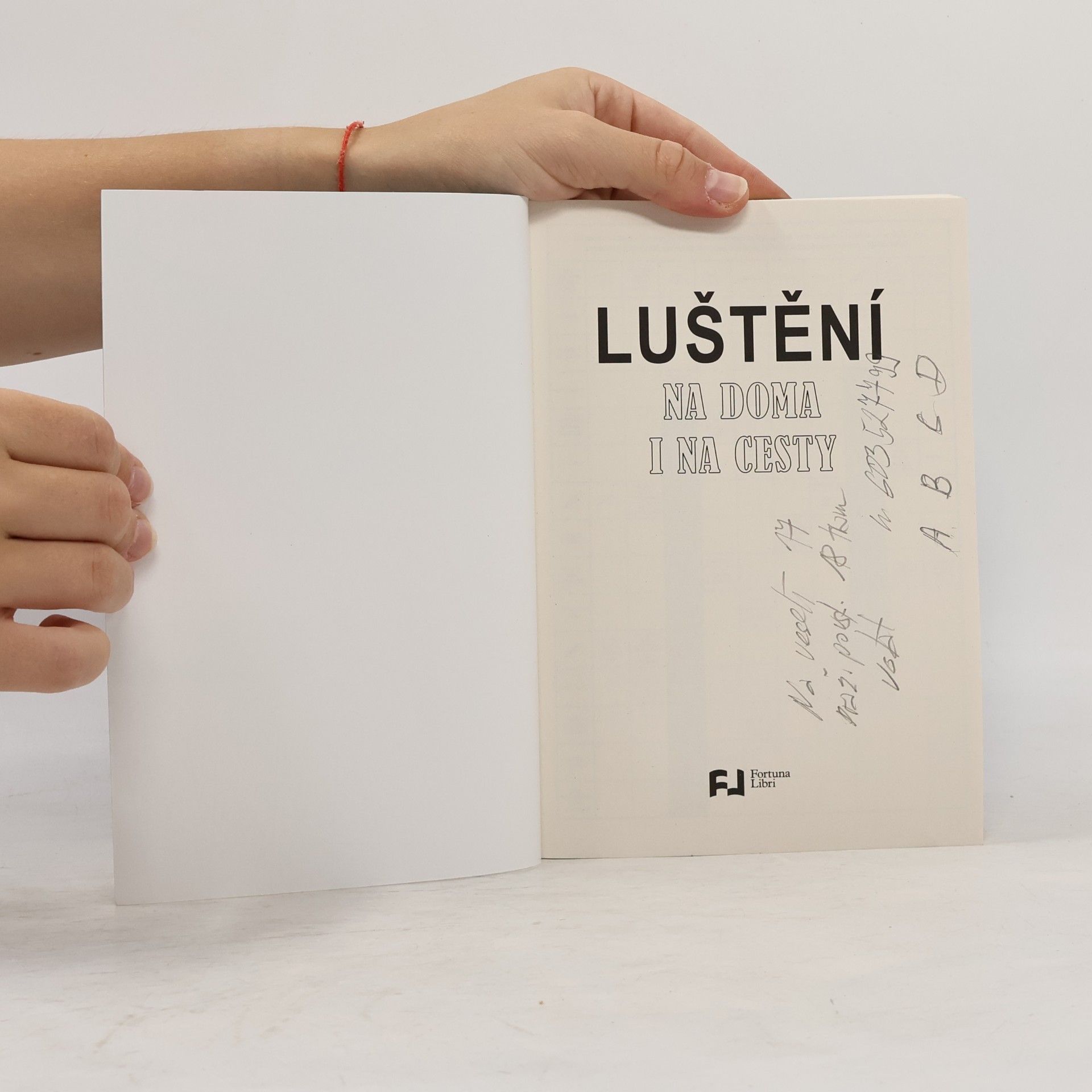 Autorenkollektiv Luštění doma i na cesty