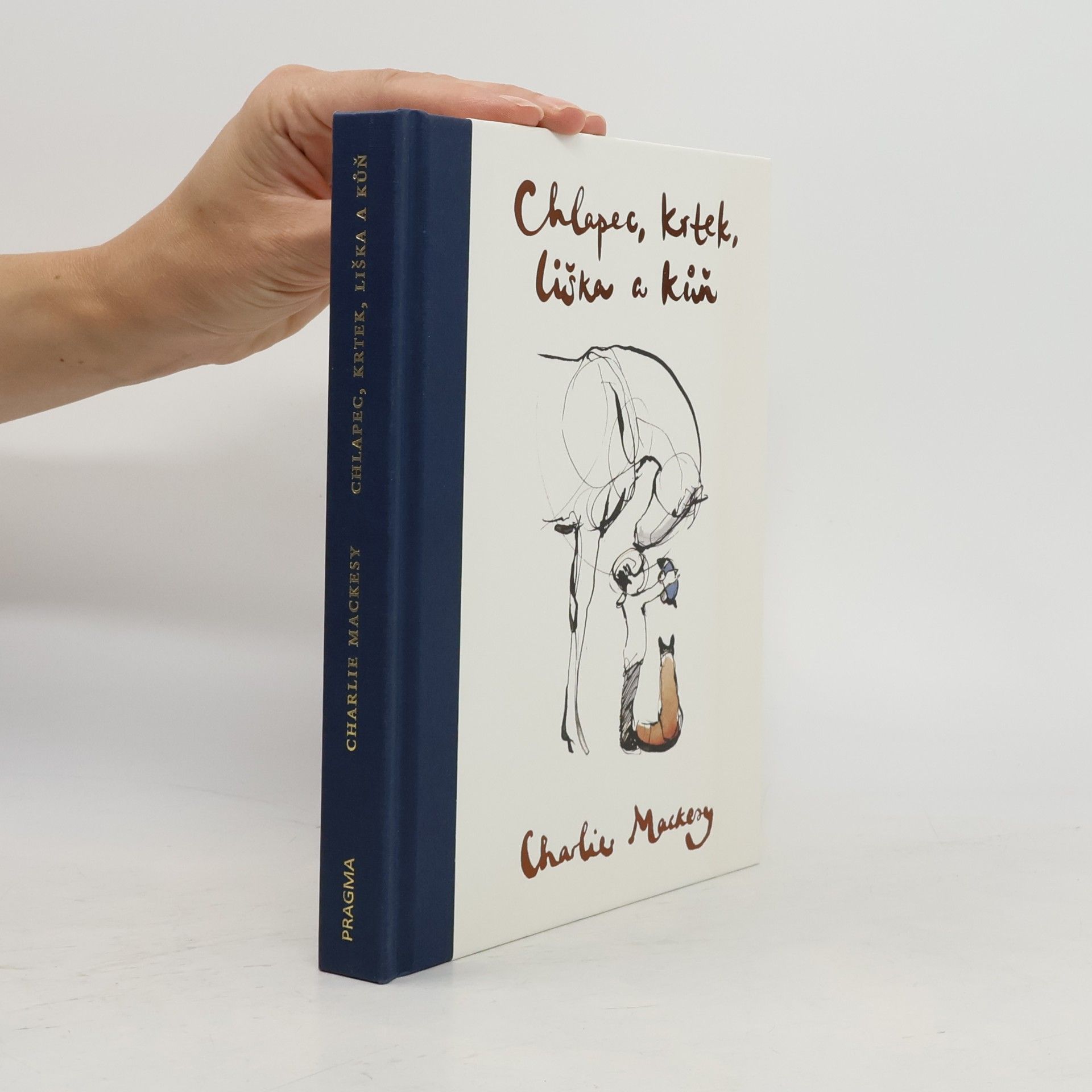 Charlie Mackesy Chlapec, krtek, liška a kůň