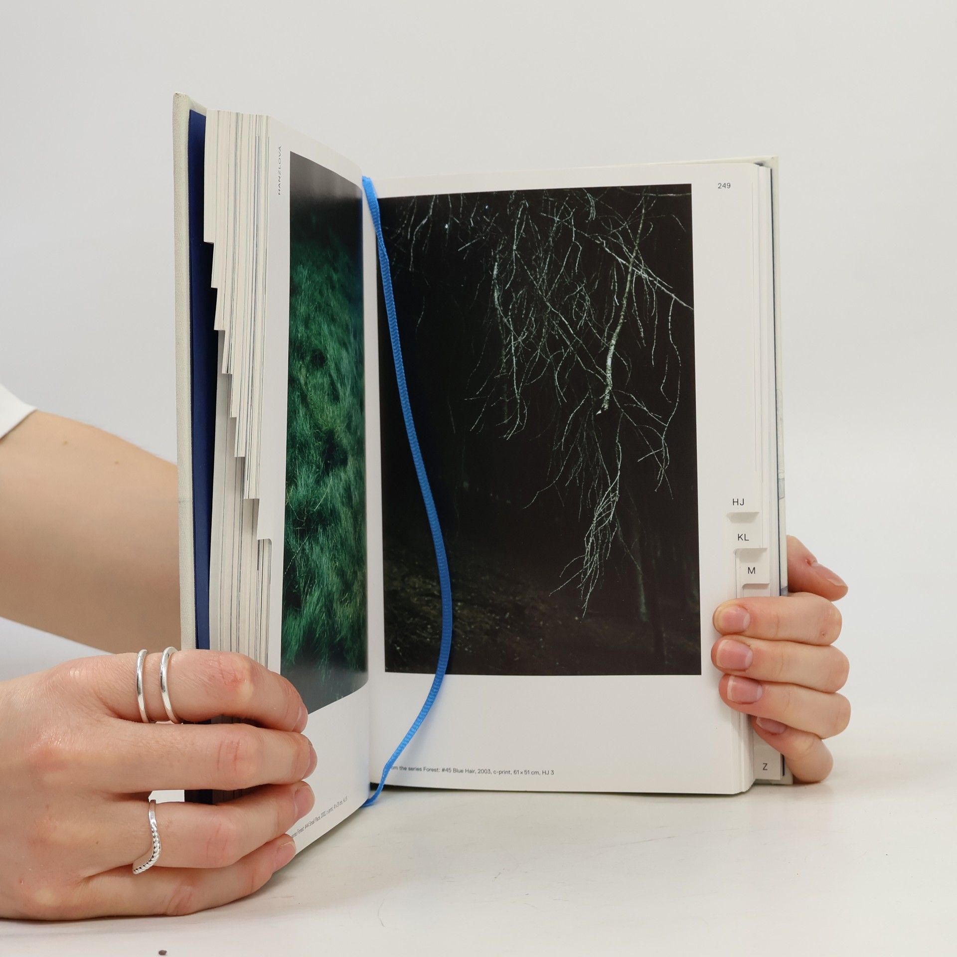 Various authors Images for images : artists for Tichy, Tichy for artists