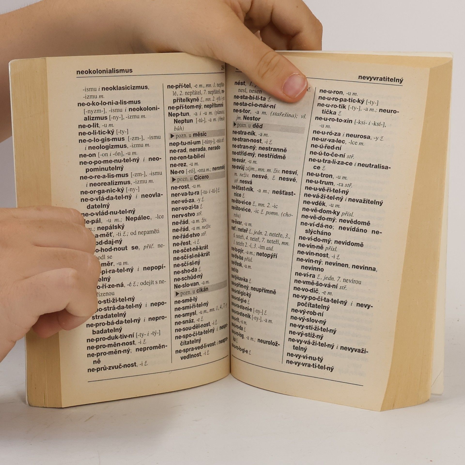 Collectif d'auteurs Pravidla českého pravopisu pro školní rok 1998/99