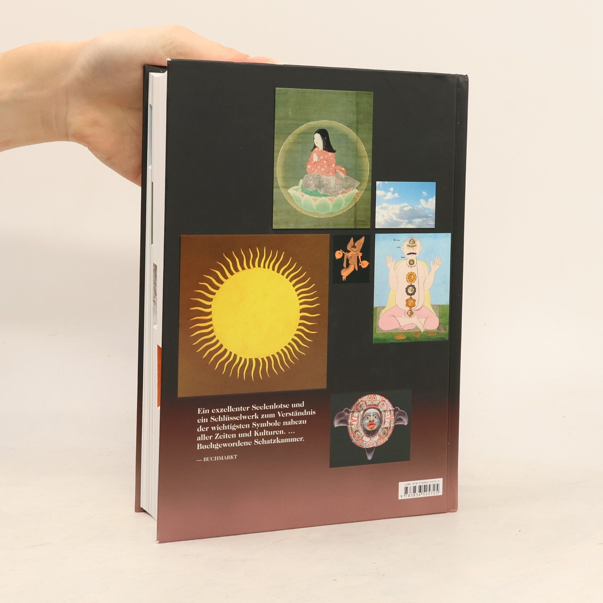 Ami Ronnberg Das Buch der Symbole