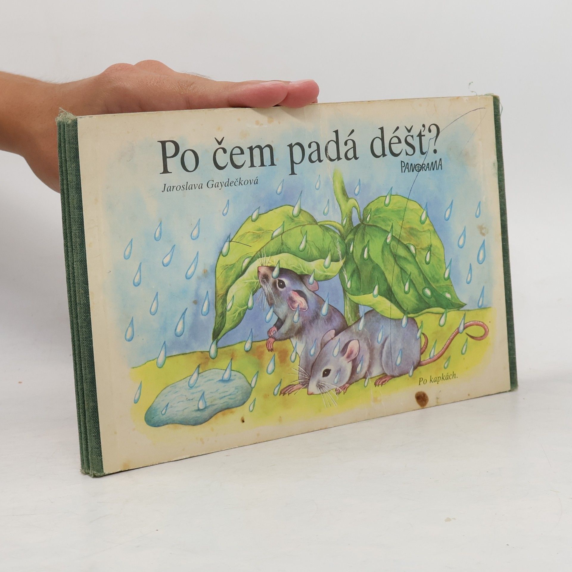 Jaroslava Gaydečková Po čem padá déšť?