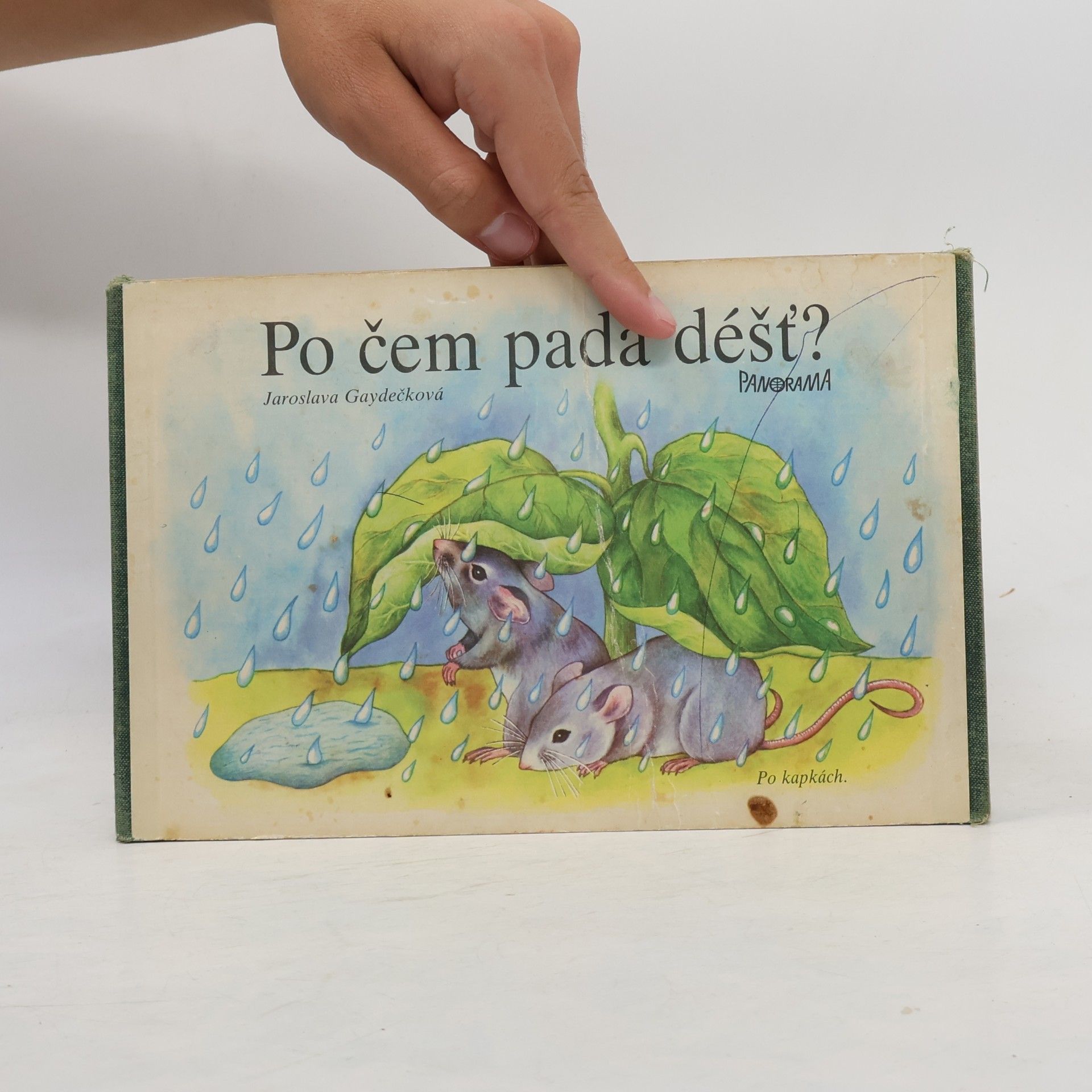 Jaroslava Gaydečková Po čem padá déšť?