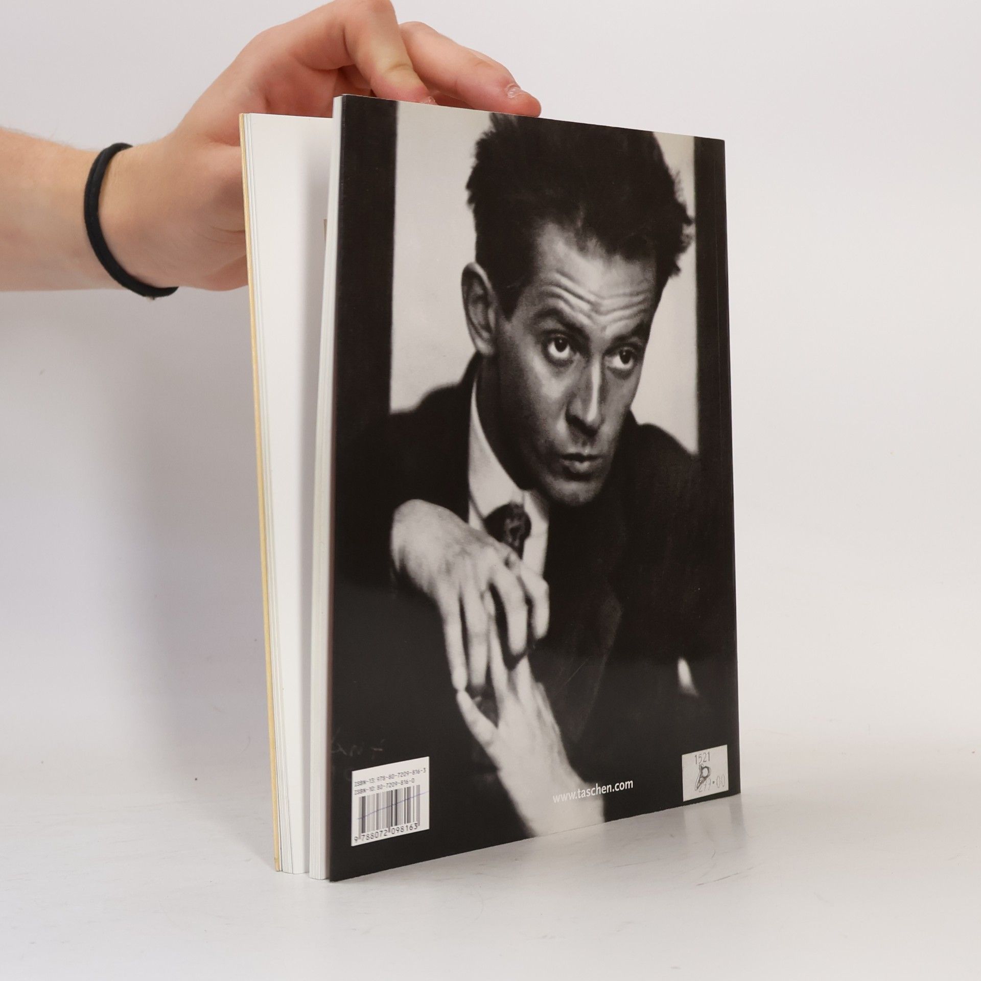 Reinhard Steiner Egon Schiele : 1890 - 1918 : umělcova půlnoční duše