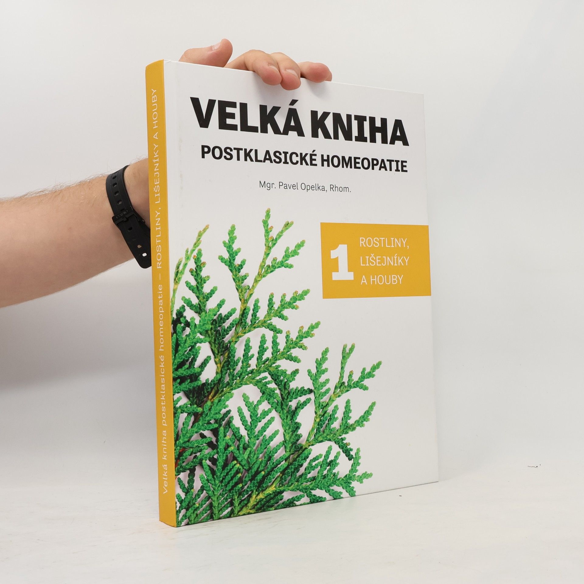 Iva Crookston Velká kniha postklasické homeopatie 1