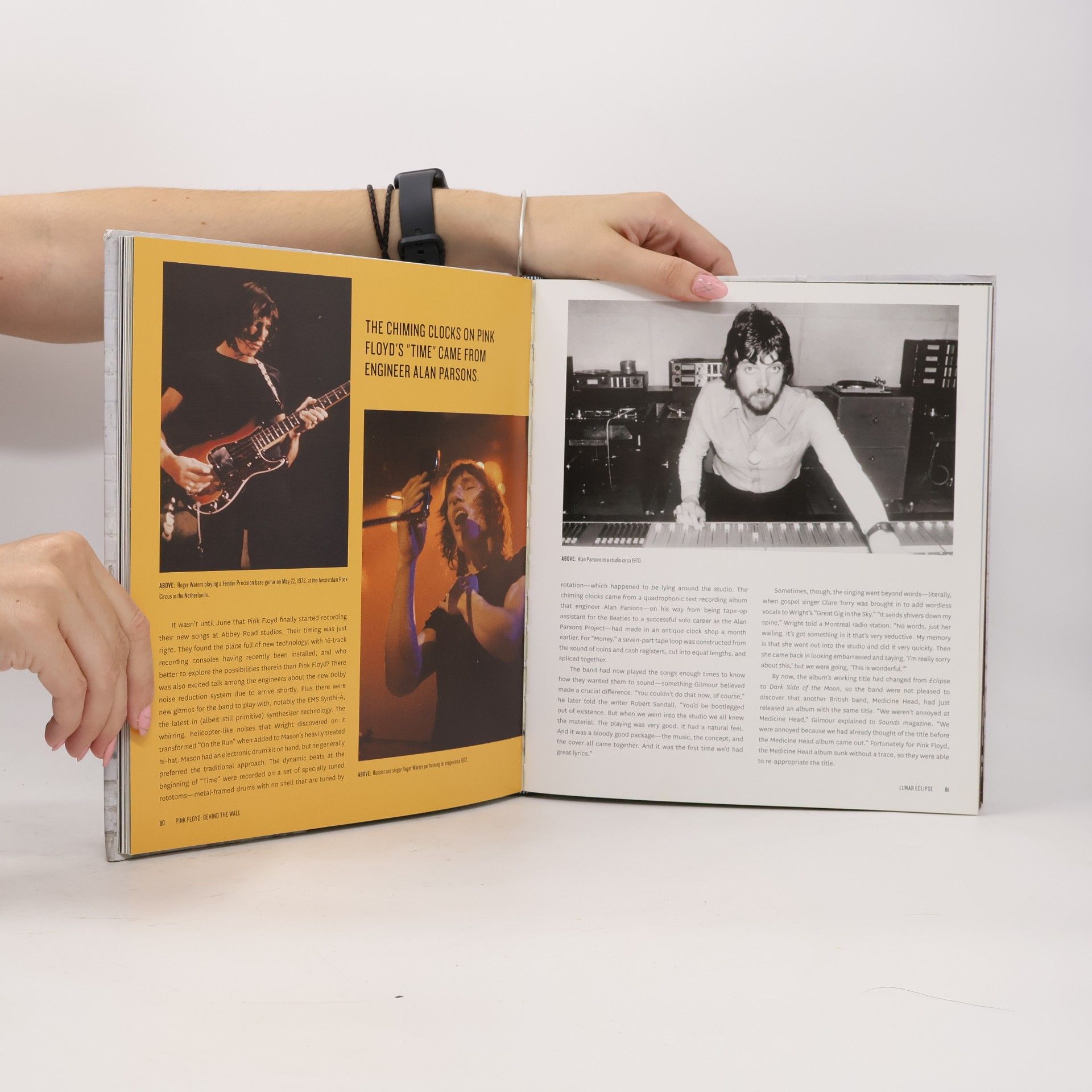 Hugh Fielder Pink Floyd: Behind the wall: The complete psychedelic history from 1965 to today