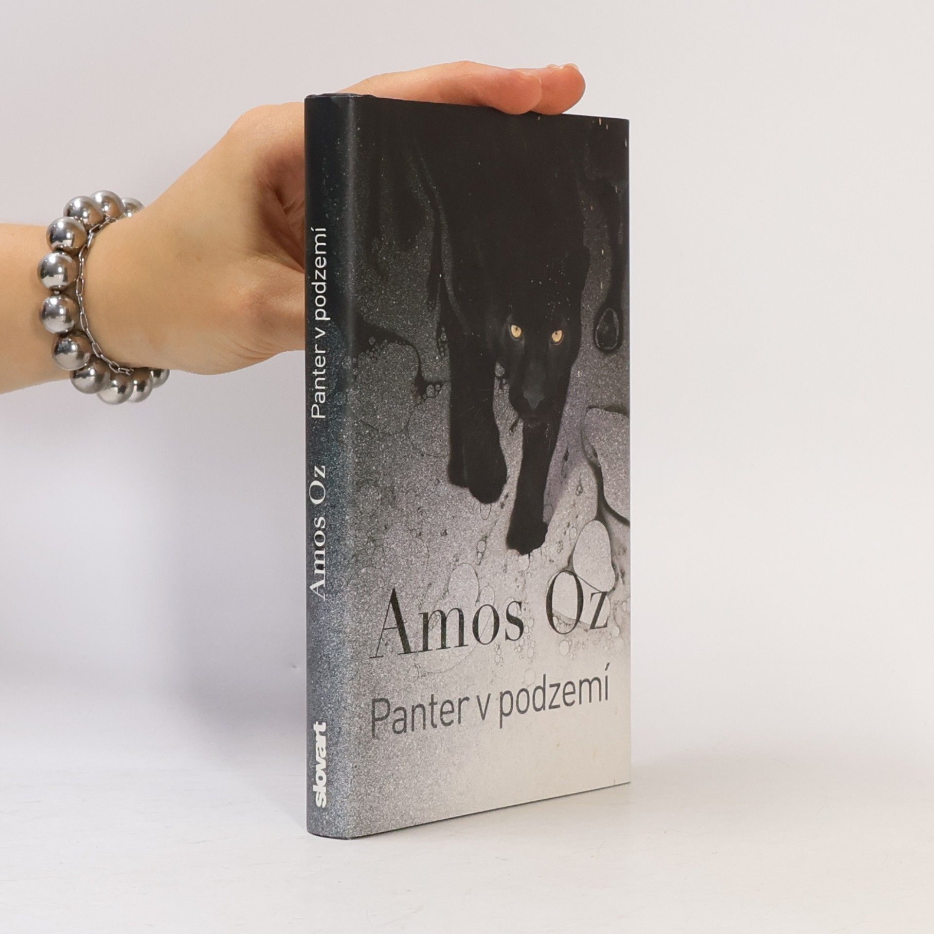 Amos Oz Panter v podzemí