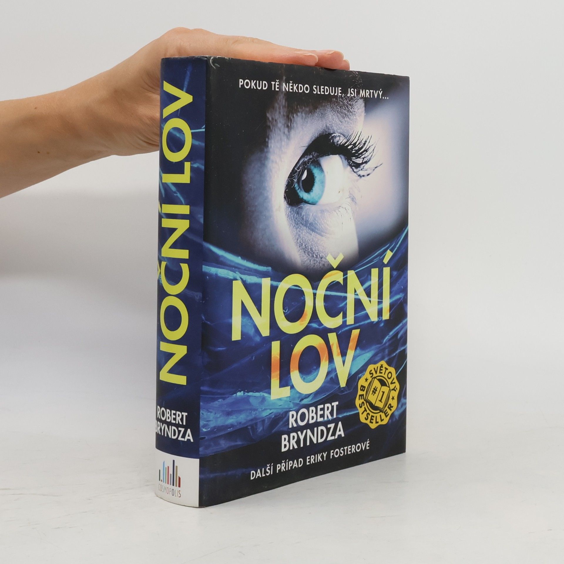 Robert Bryndza Noční lov
