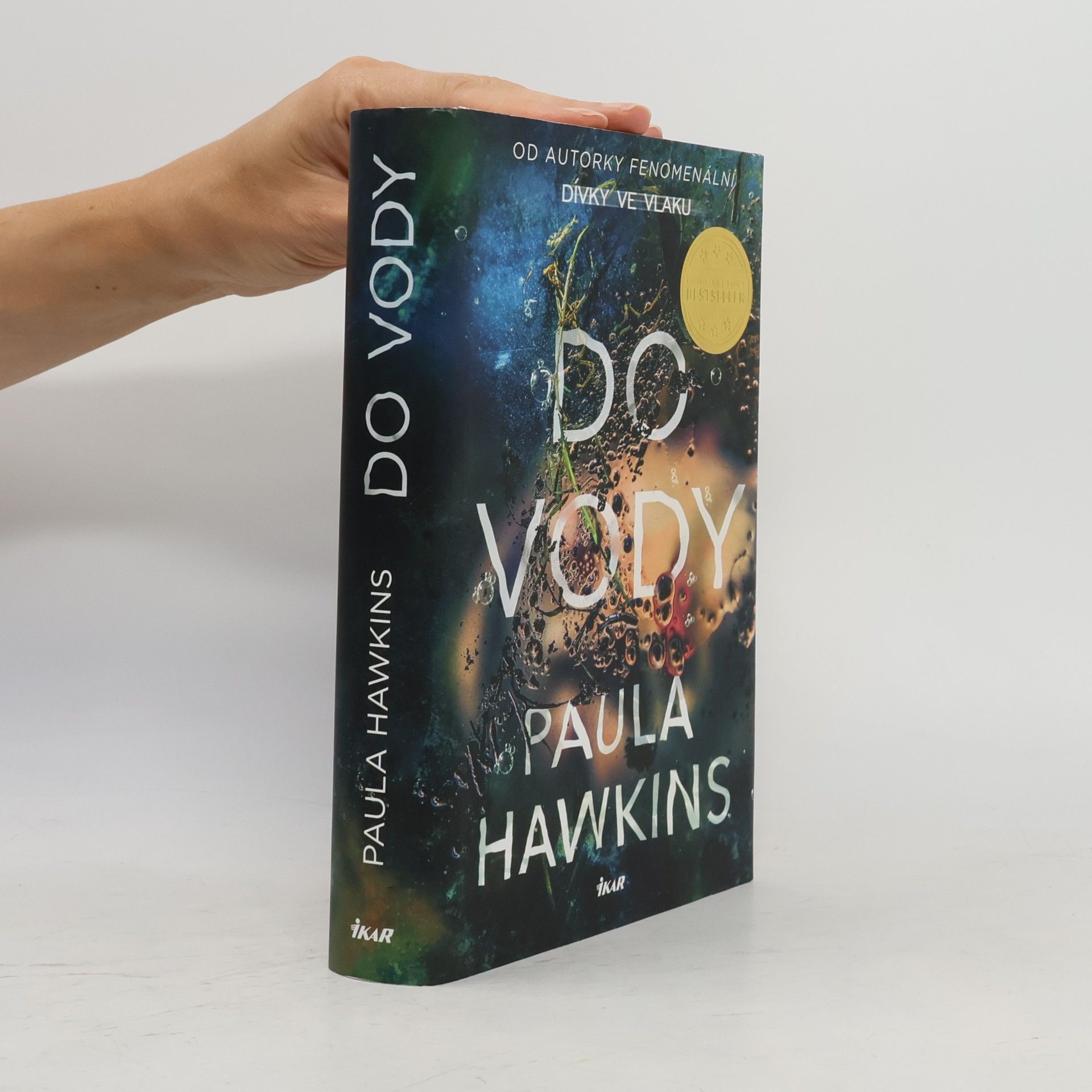 Paula Hawkinsová Do vody