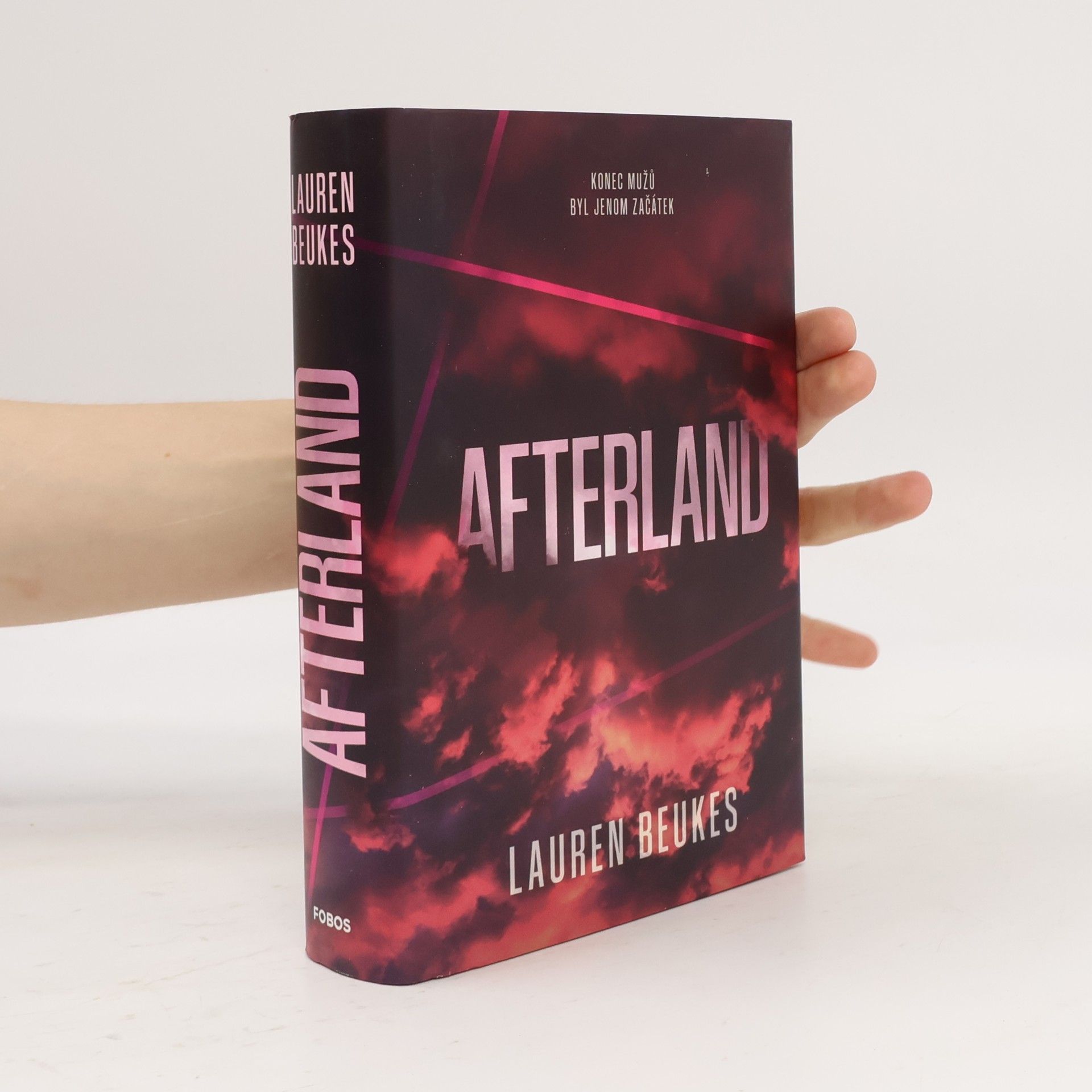 Lauren Beukes Afterland