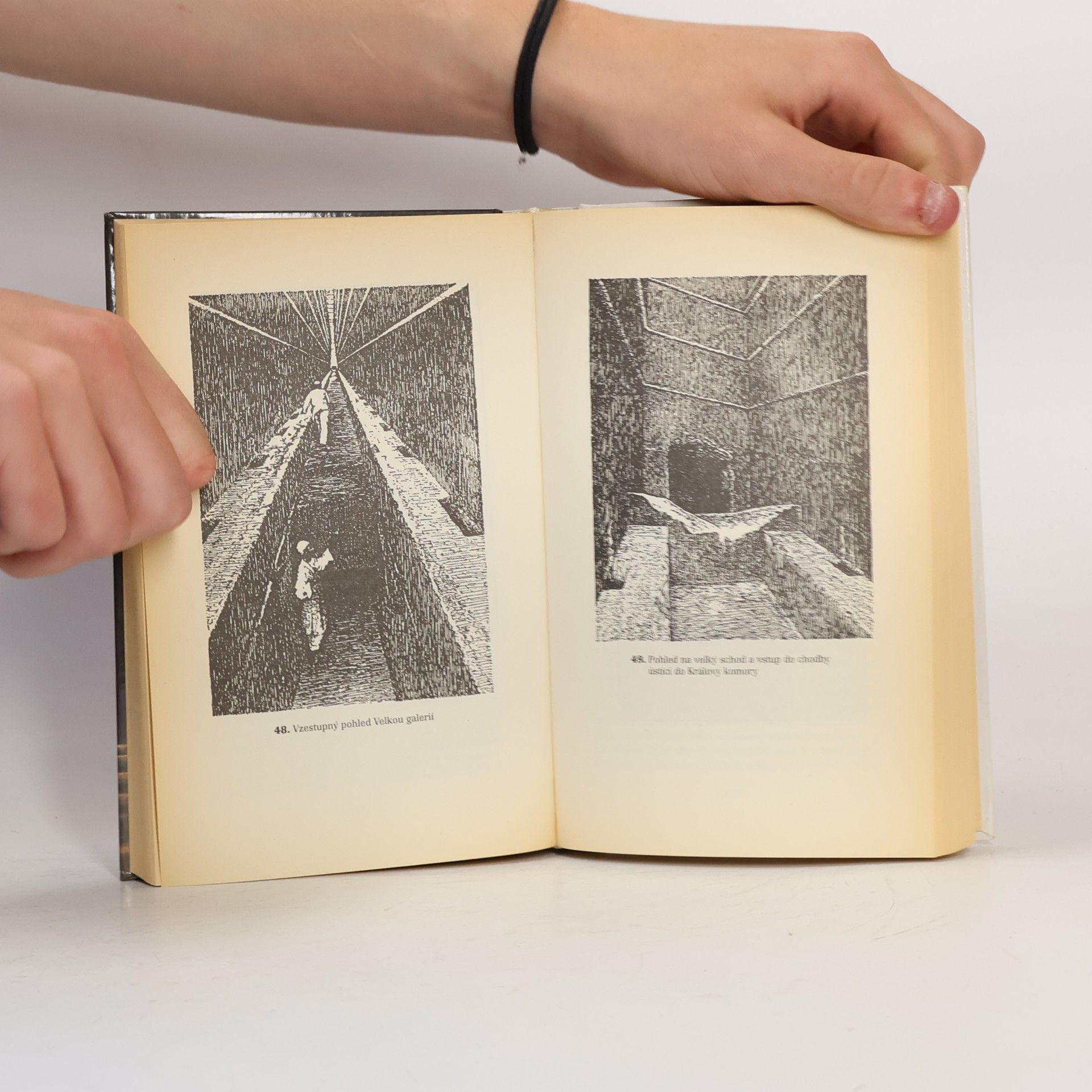 Max Toth Proroctví pyramid