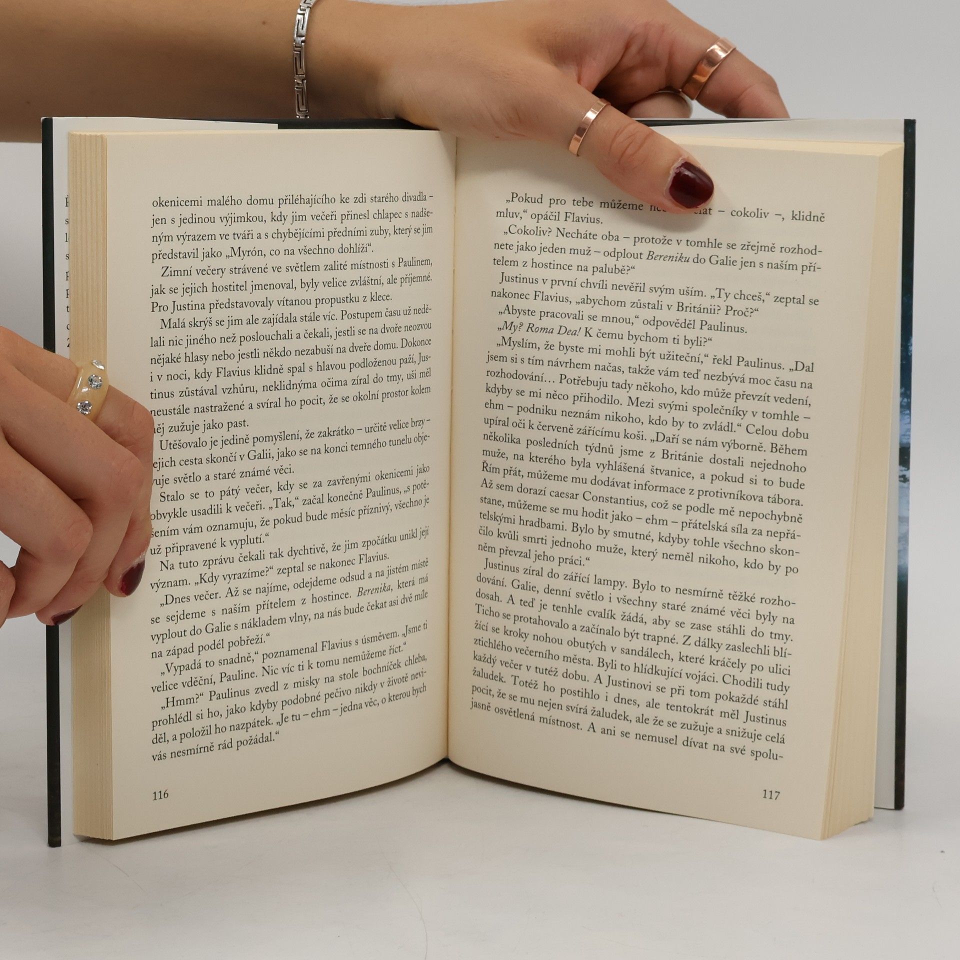Rosemary Sutcliff Stříbrná větev