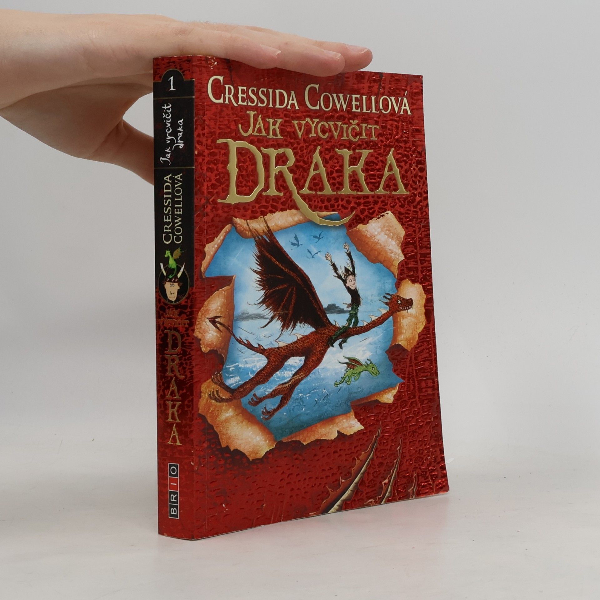 Cressida Cowell Jak vycvičit draka