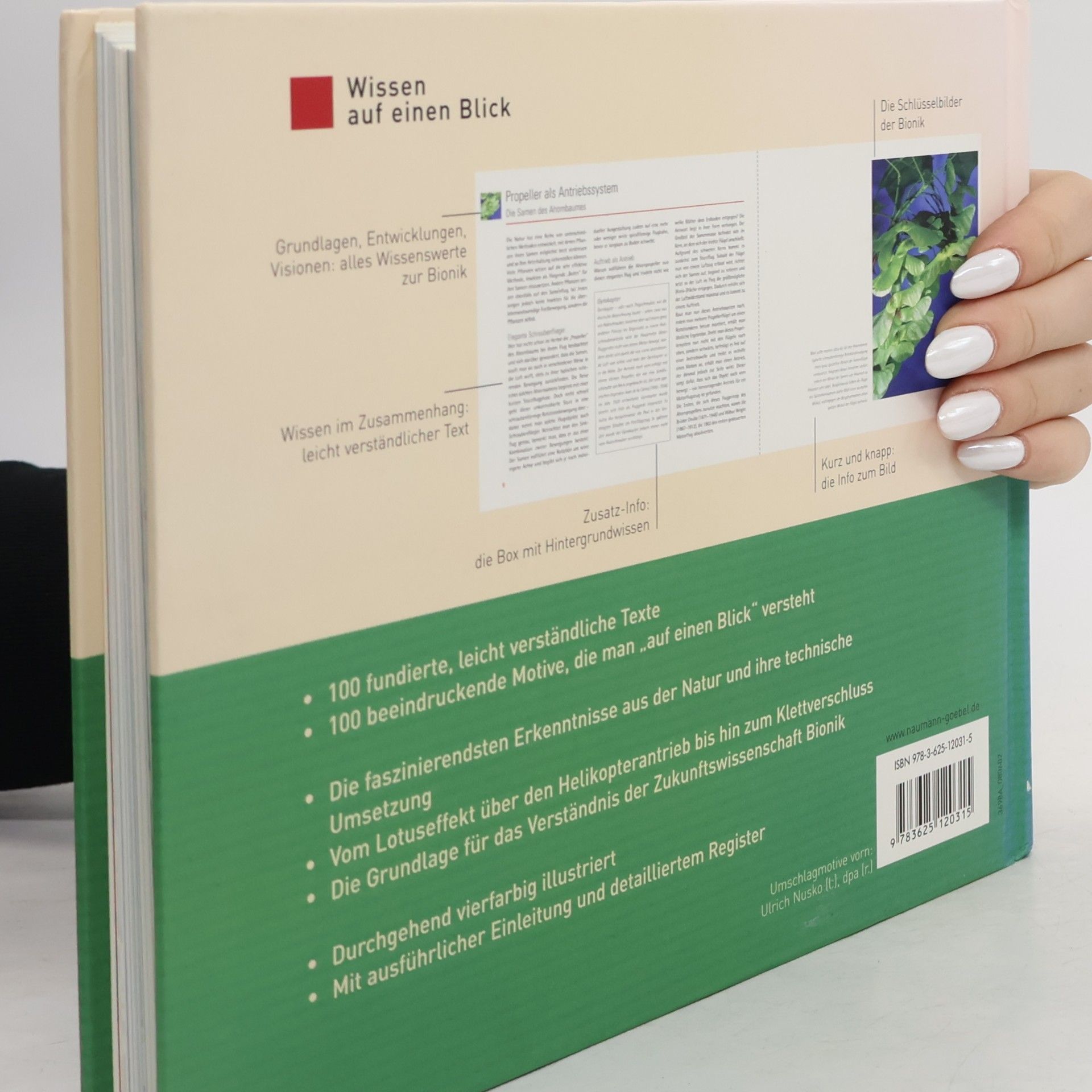 Birgit Kuhn Bionik - Der Natur abgeschaut
