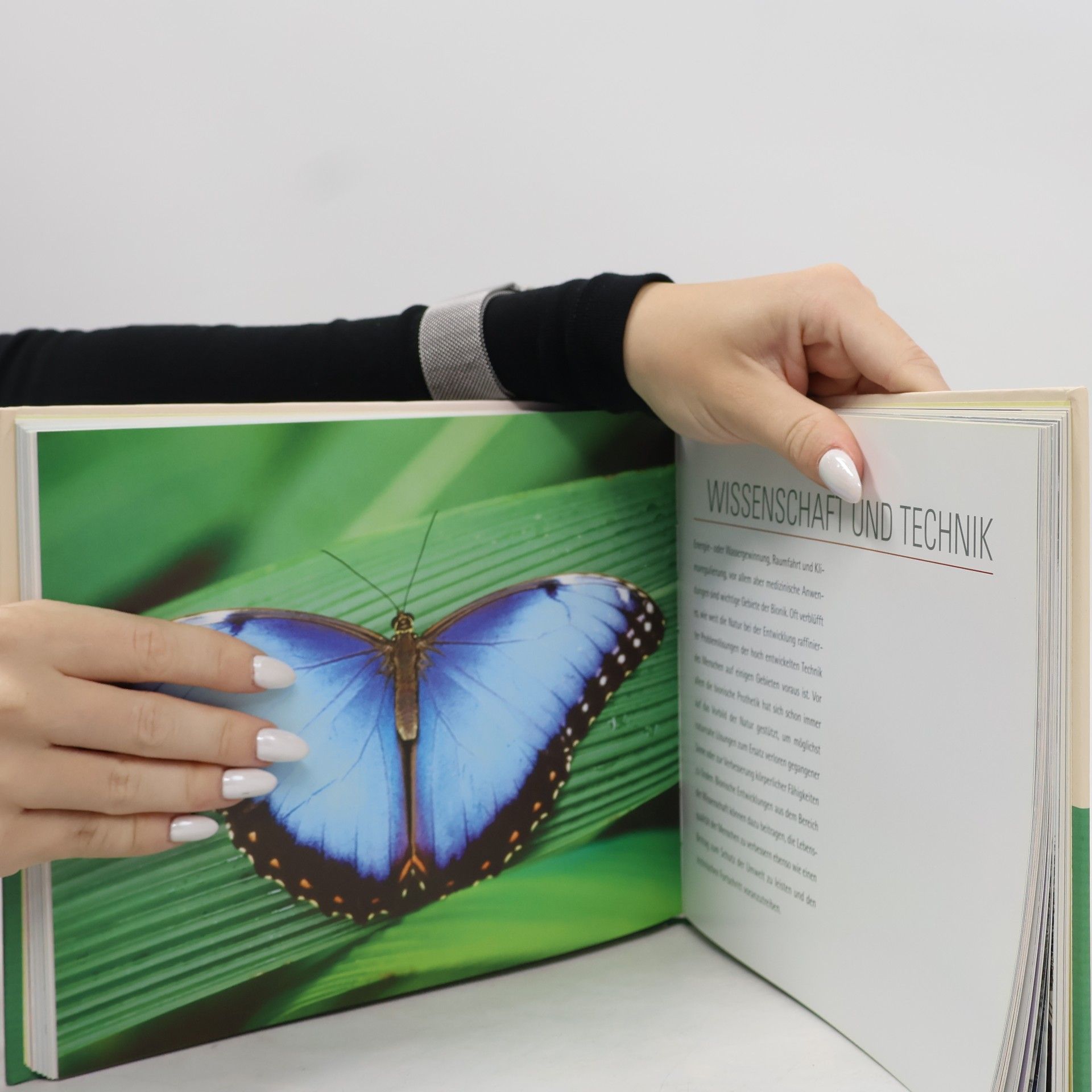 Birgit Kuhn Bionik - Der Natur abgeschaut
