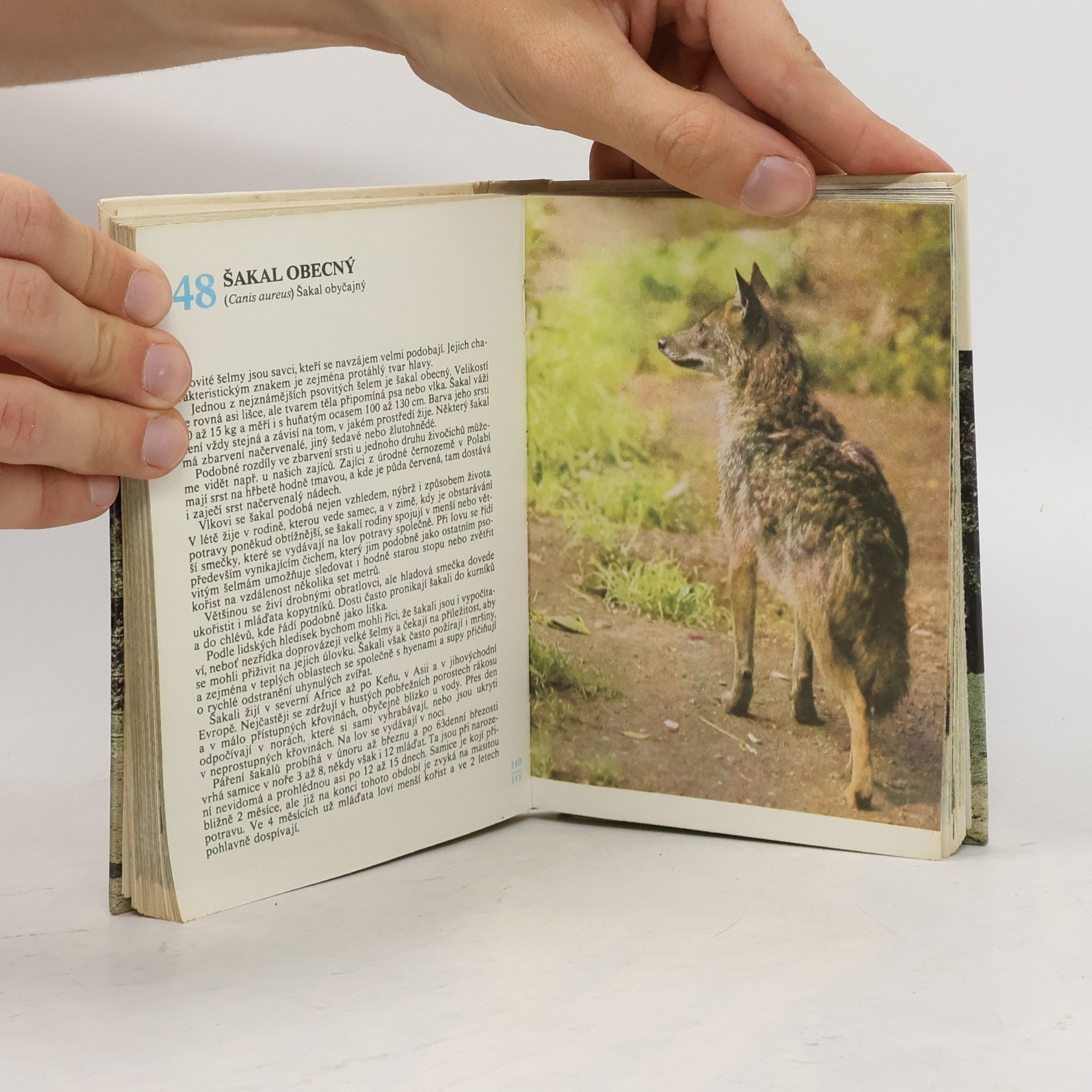 Miroslav Bouchner Kapesní atlas savců