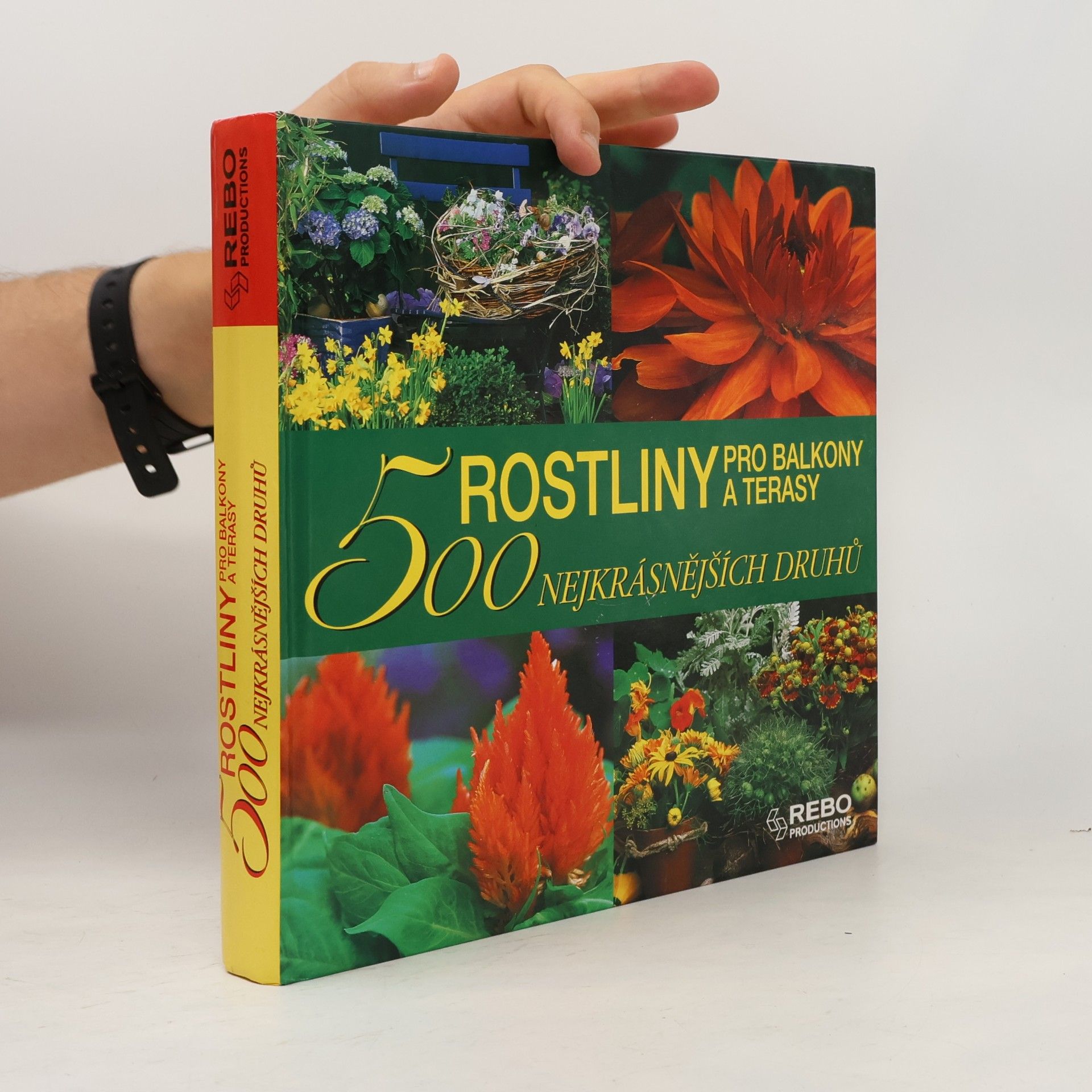 Annette Timmermann Rostliny pro balkony a terasy