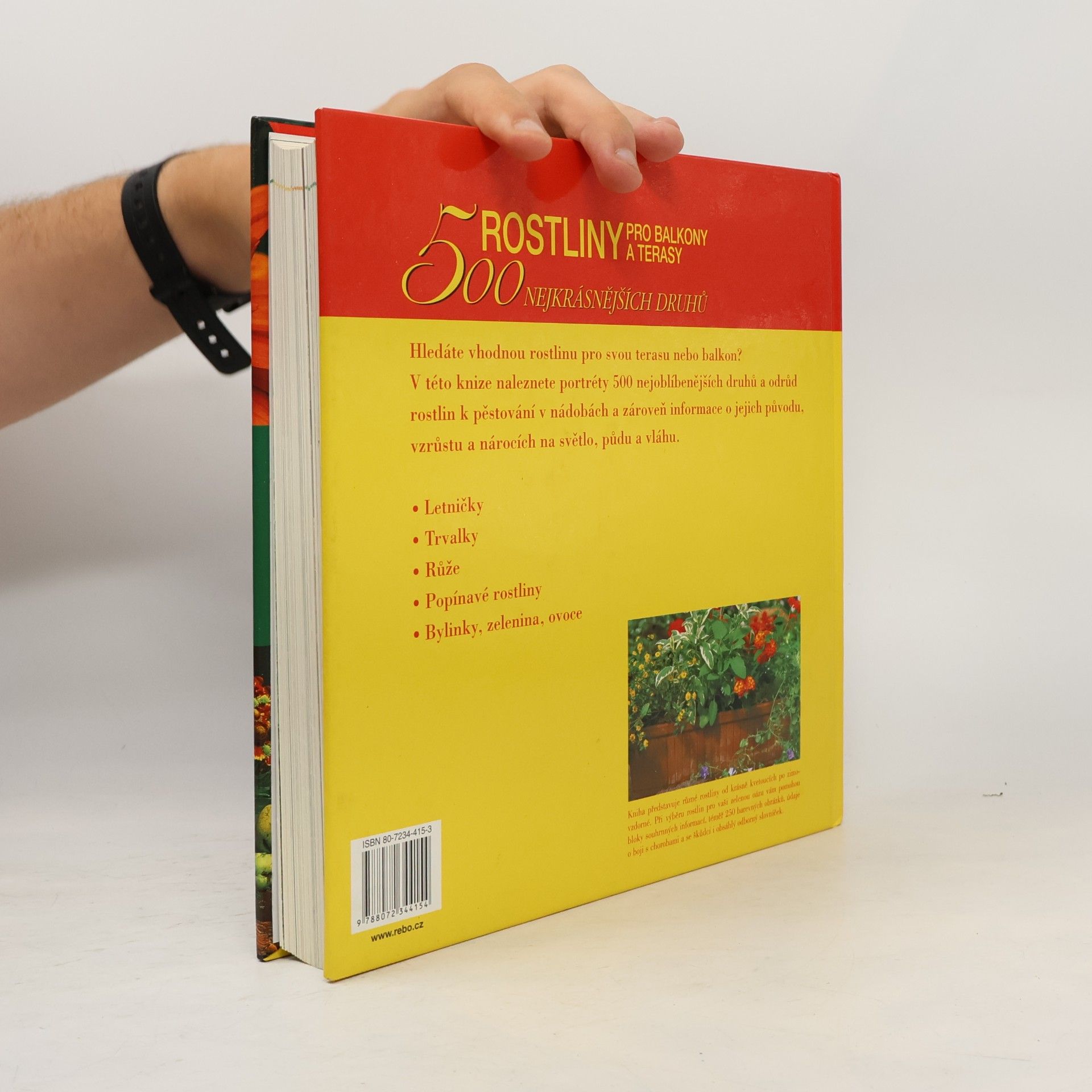 Andrea Rausch Rostliny pro balkony a terasy