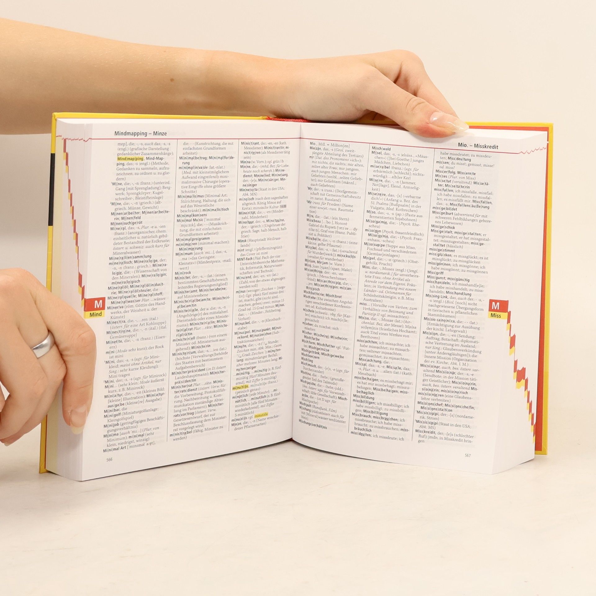 Kathrin Razum Das große österreichische Schulwörterbuch