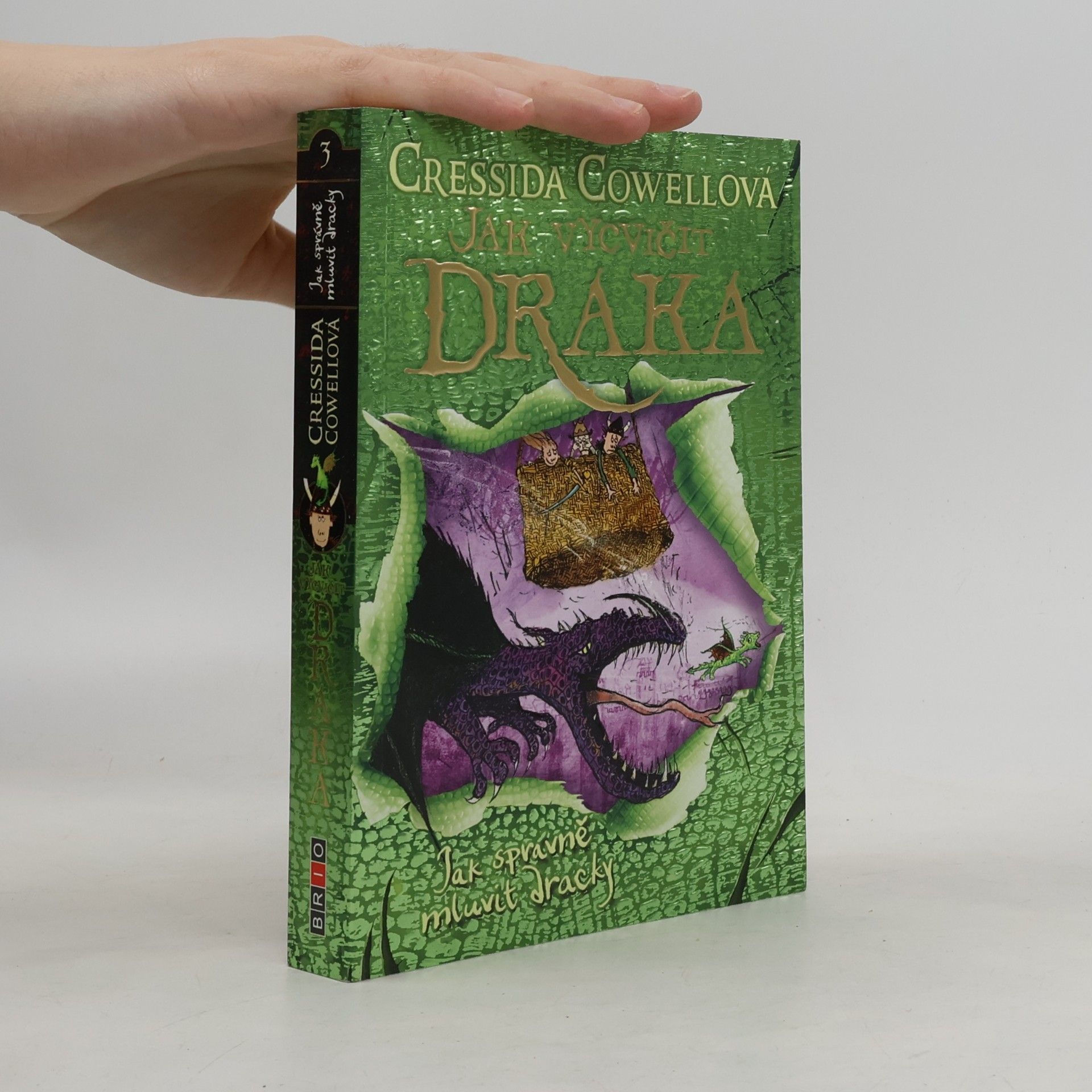Cressida Cowell Jak správně mluvit dracky