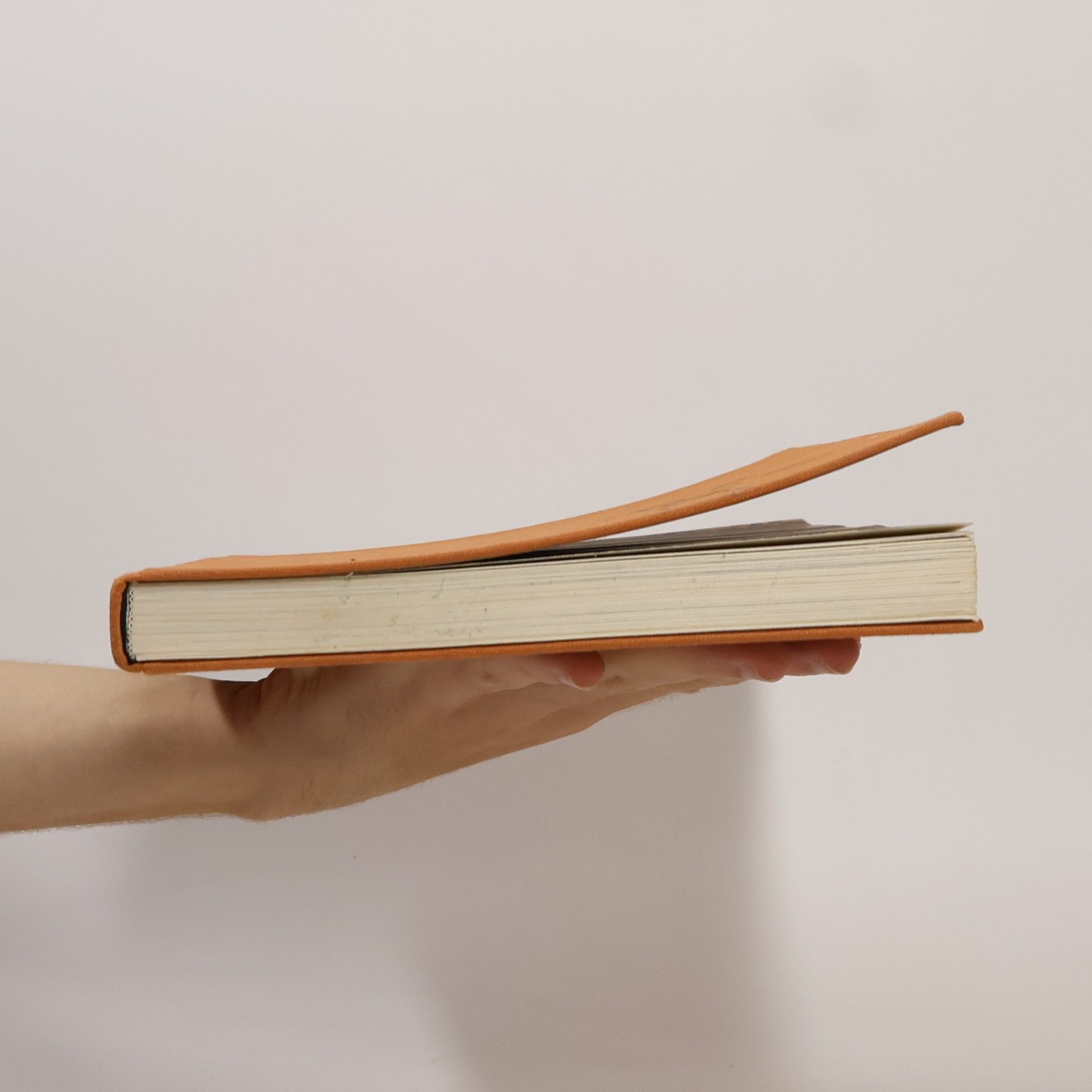 Jacquetta Hopkins Hawkes Das große Buch der Pharaonen