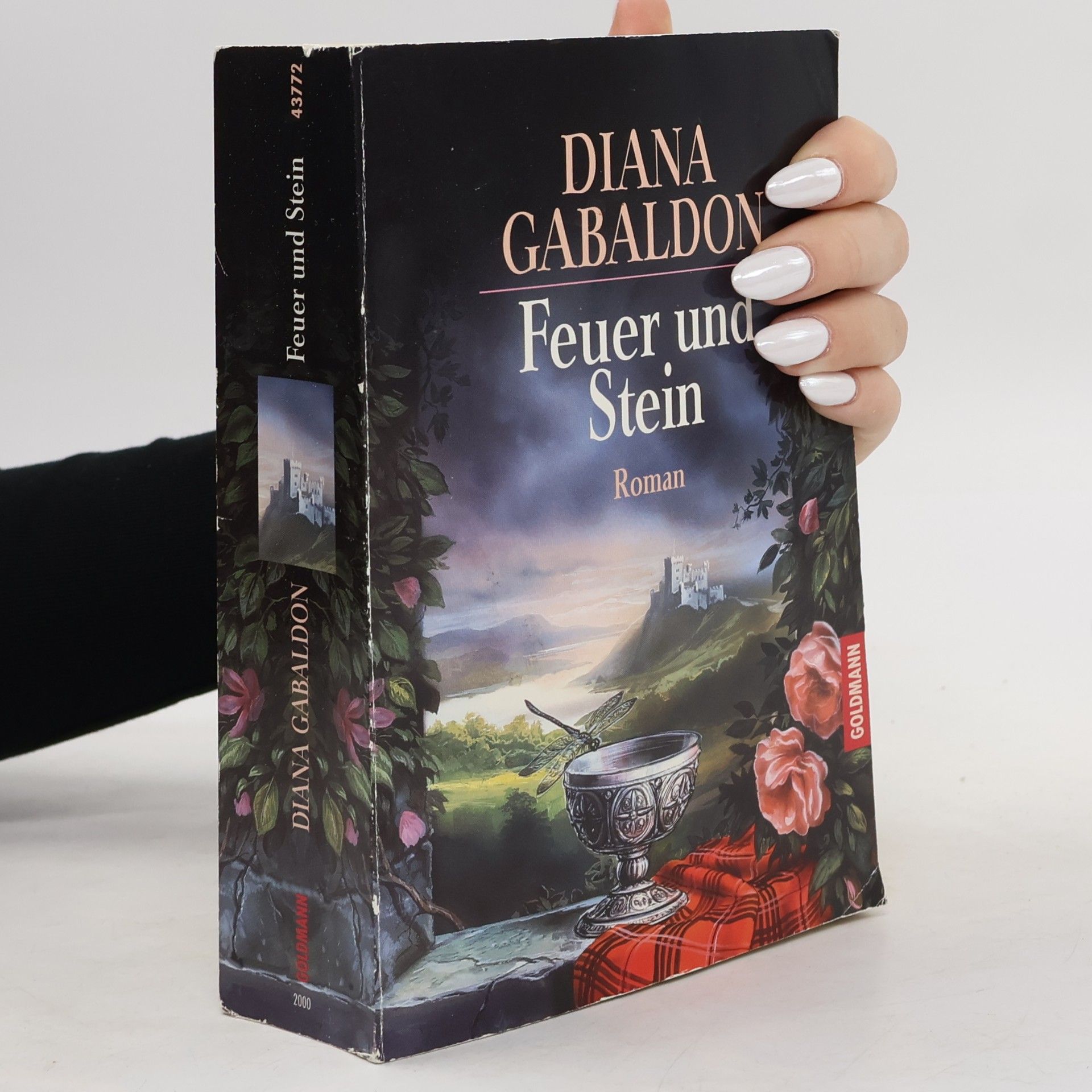 Diana Gabaldon Feuer und Stein