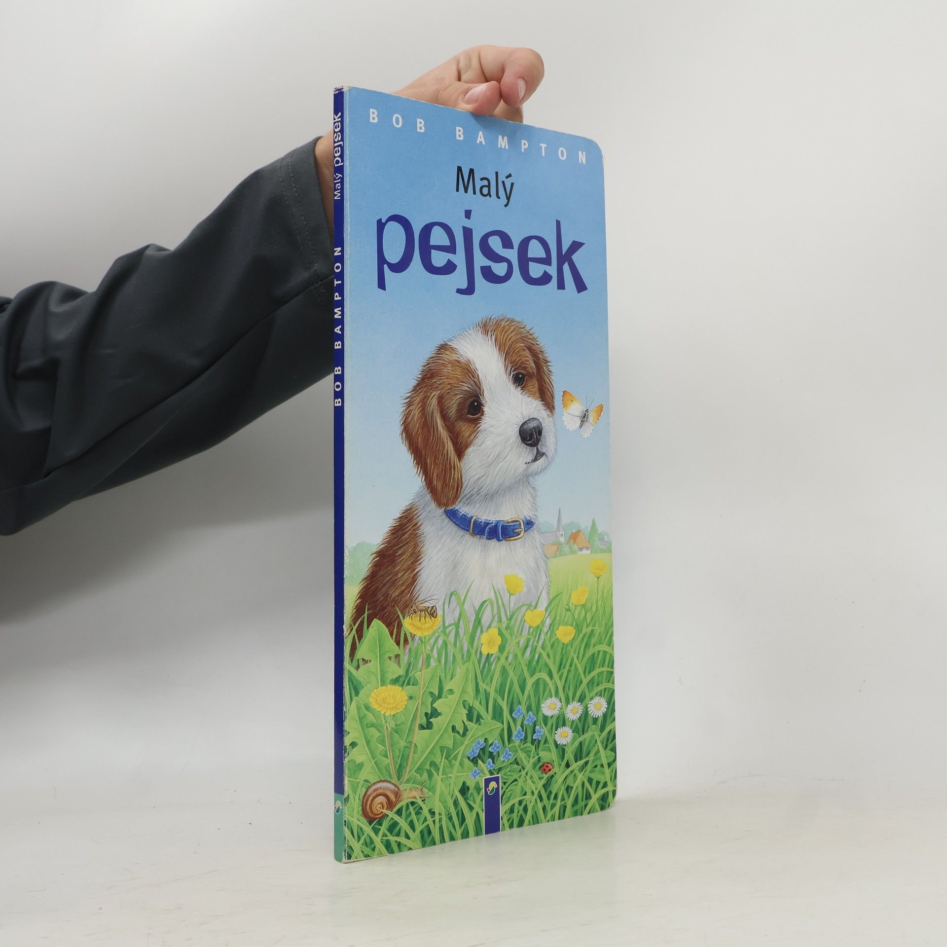 Malý pejsek