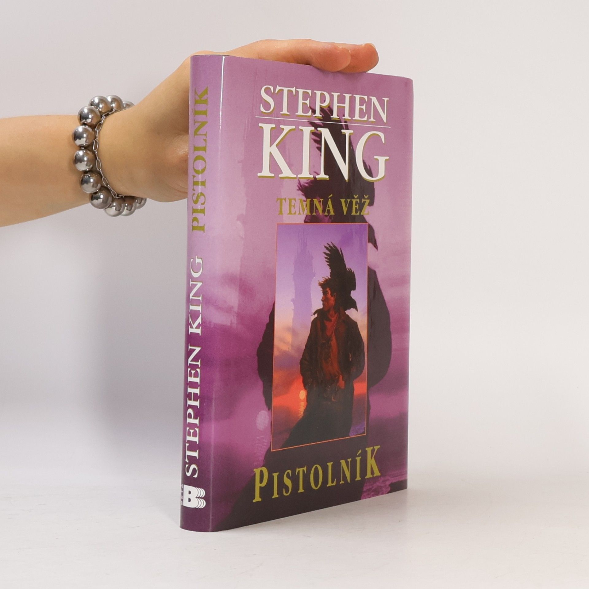 Stephen King Temná věž. Pistolník
