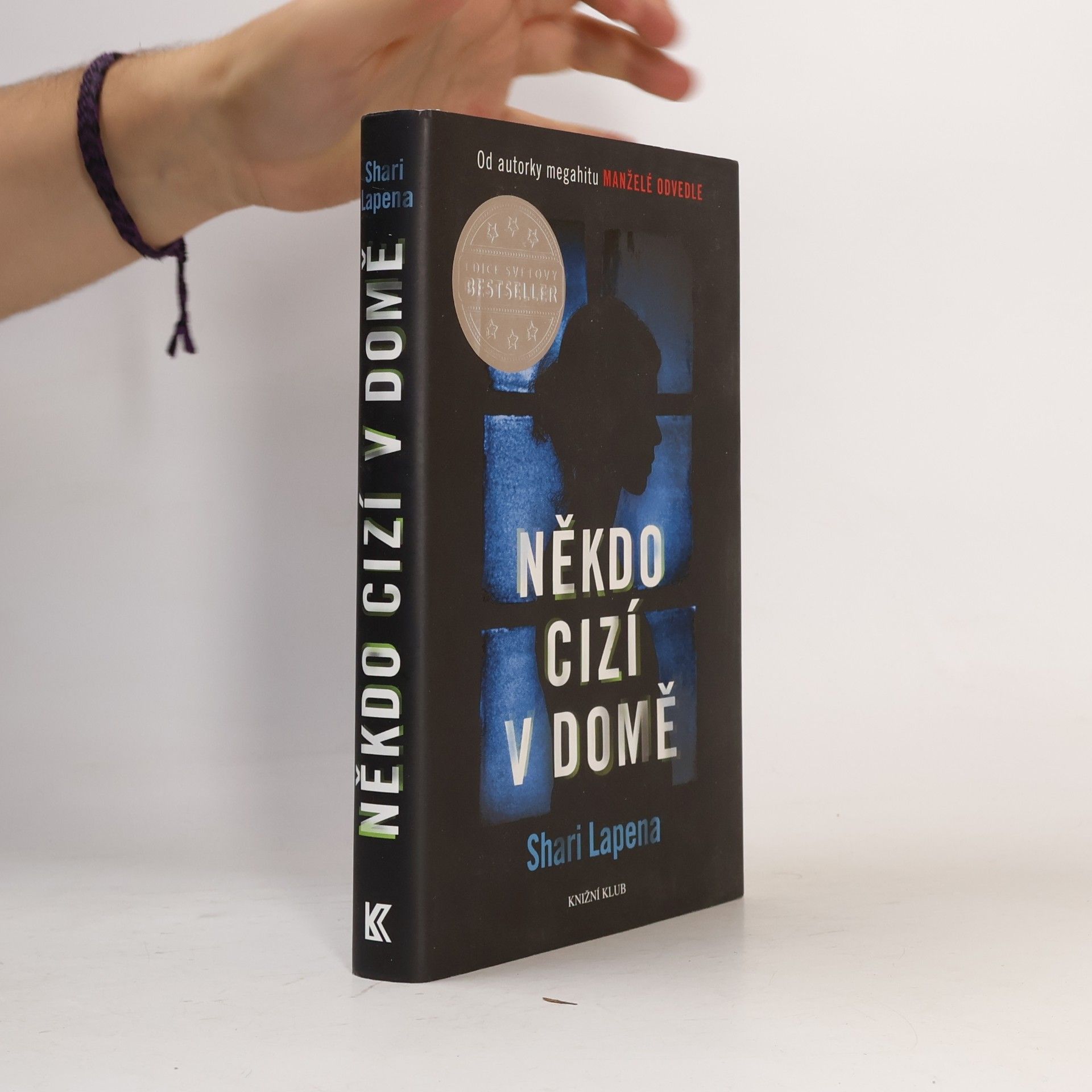 Shari Lapenová Někdo cizí v domě