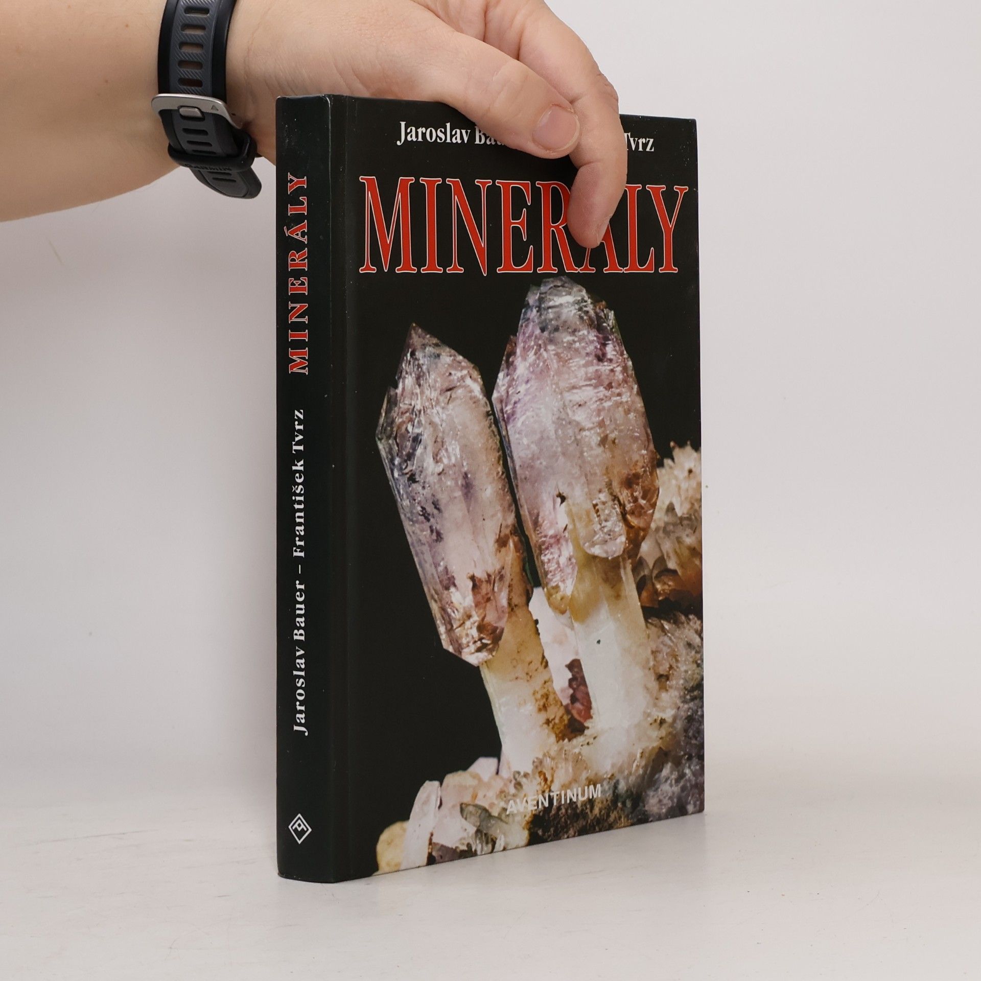 František Tvrz Minerály
