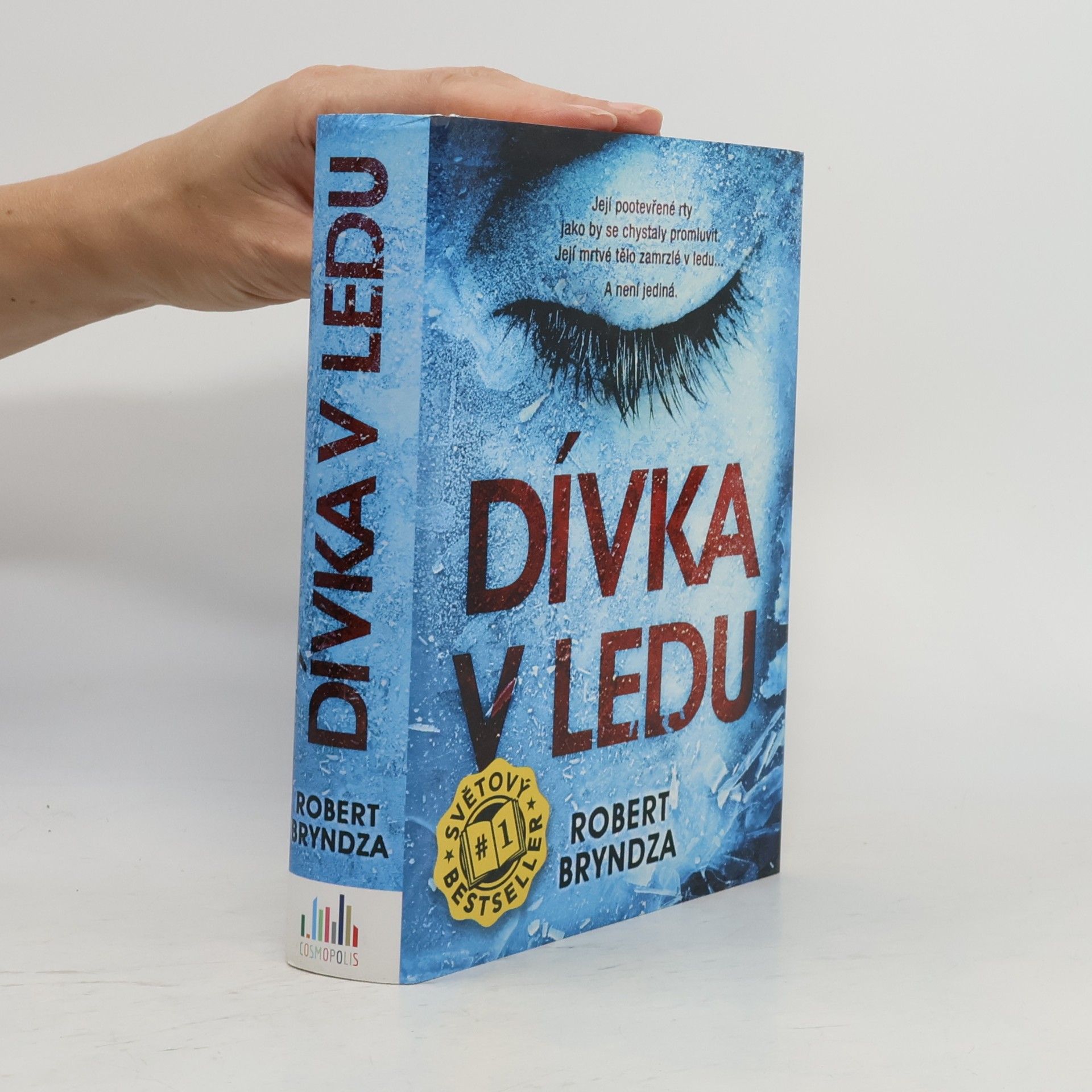 Robert Bryndza Dívka v ledu