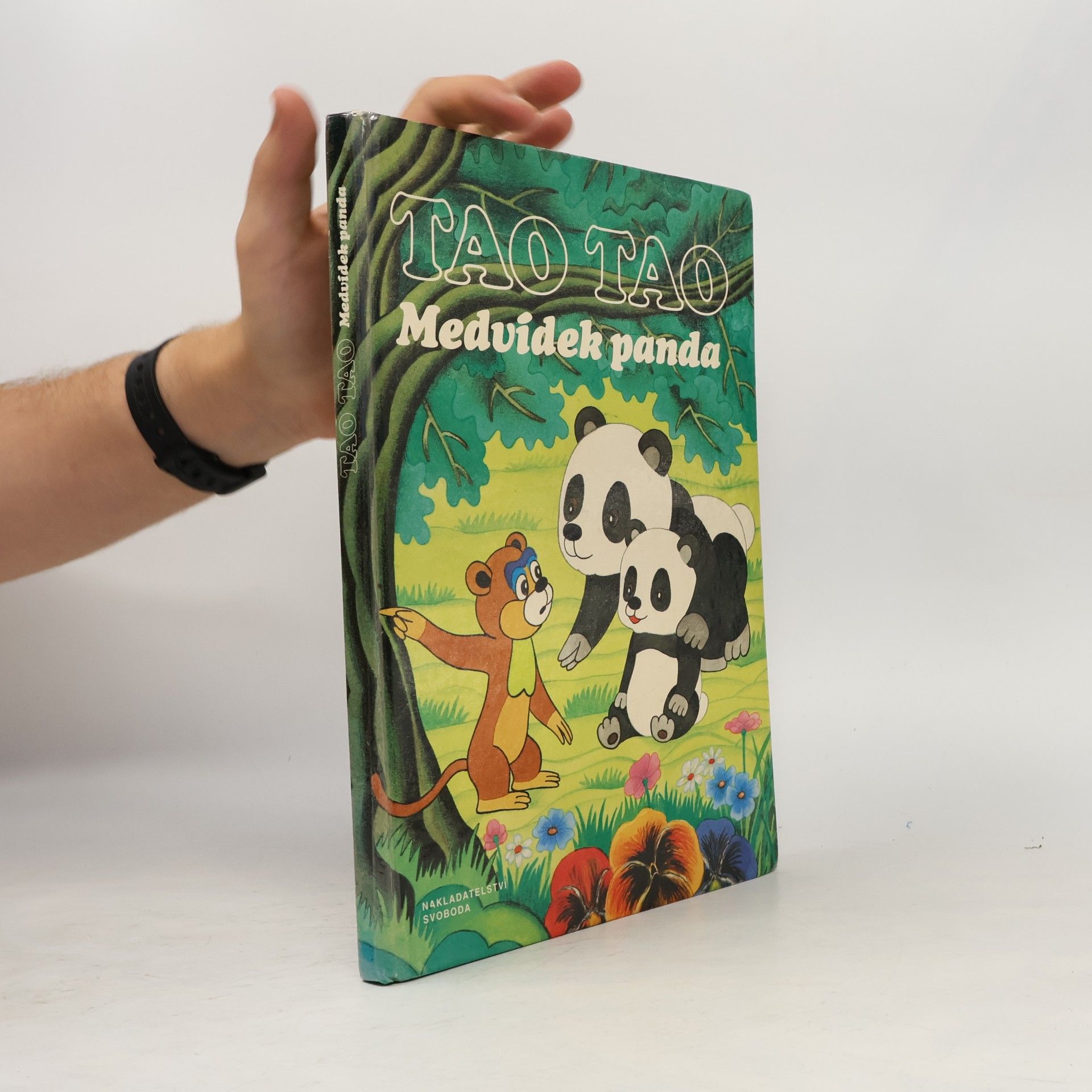 Kolektiv autorů Tao Tao. Medvídek panda