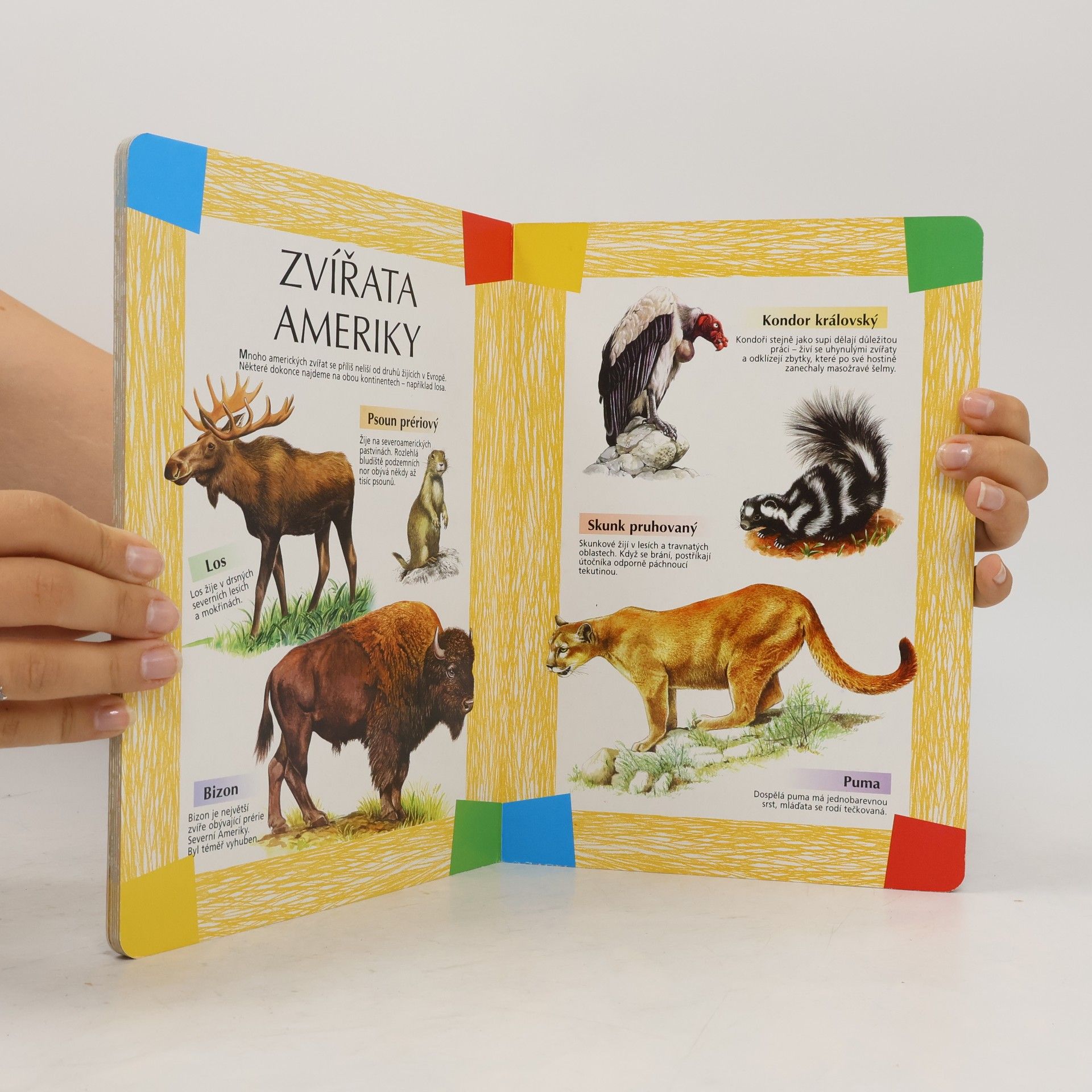 Autorenkollektiv Můj první atlas zvířat