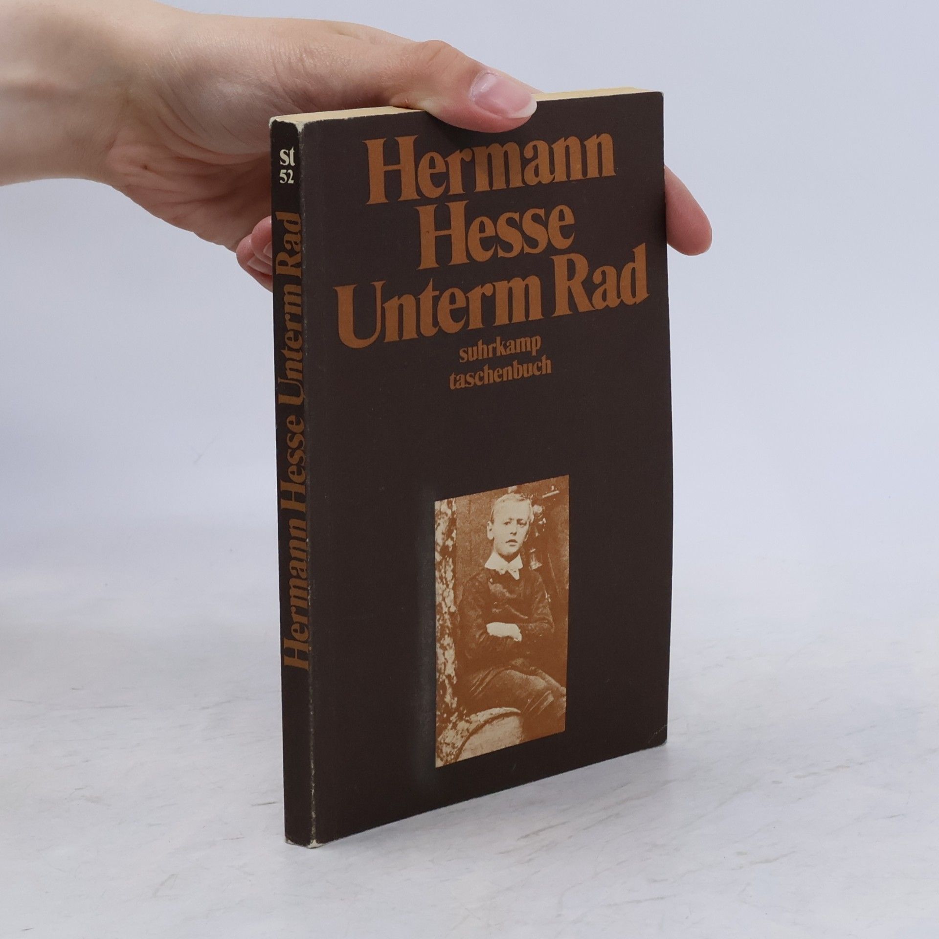 Hermann Hesse Unterm Rad