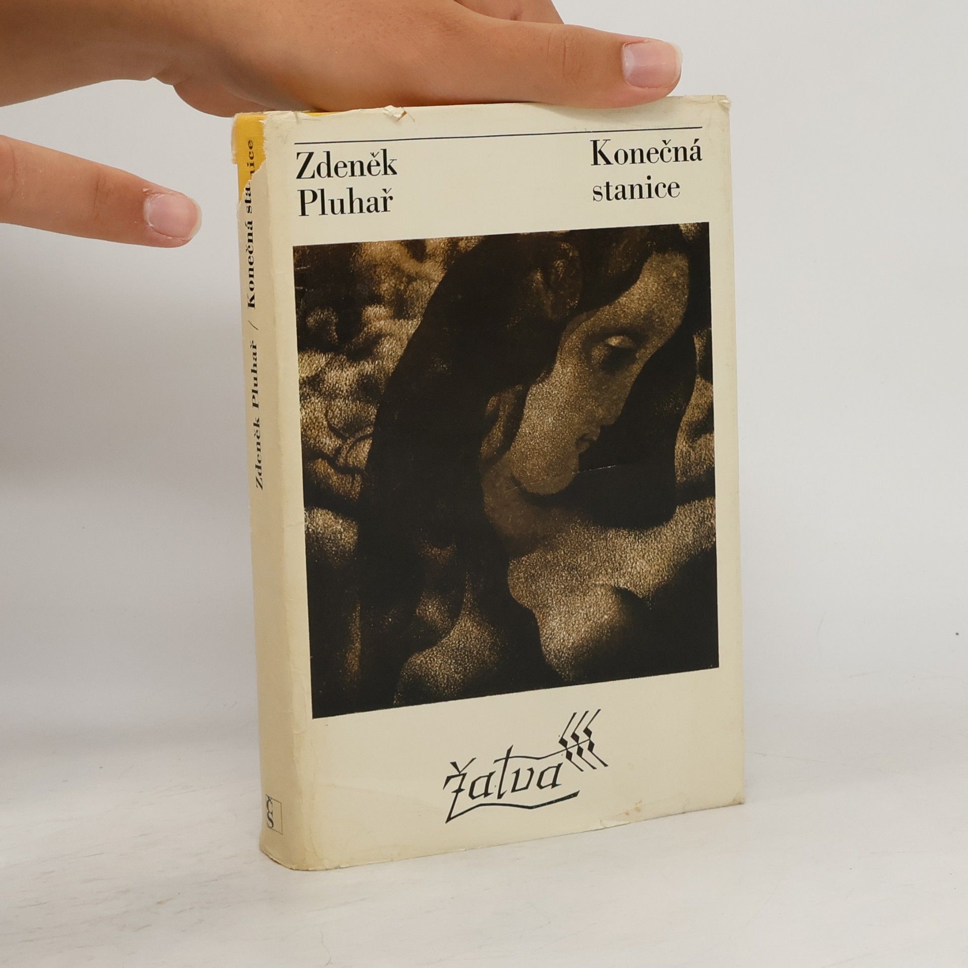Zdeněk Pluhař Konečná stanice