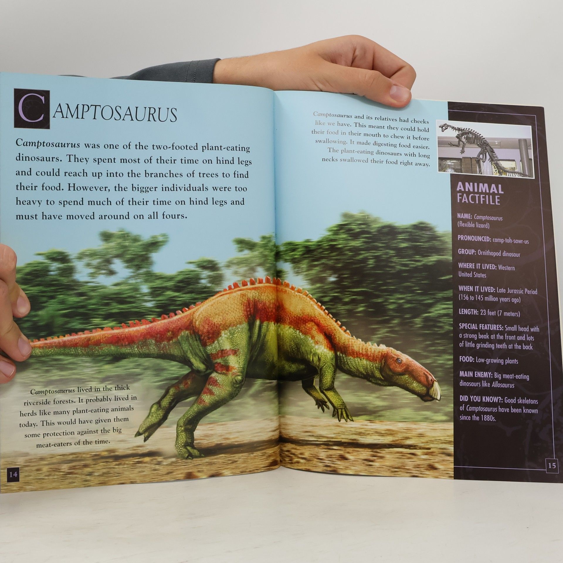 Dougal Dixon Prehistoric World: Jurassic Life
