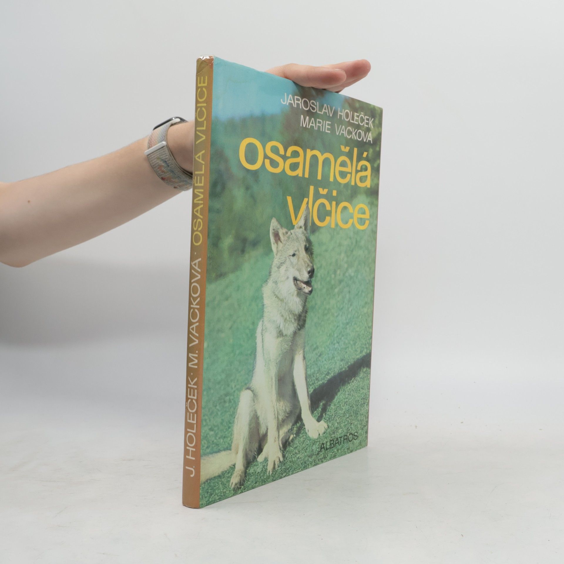 Jaroslav Holeček Osamělá vlčice