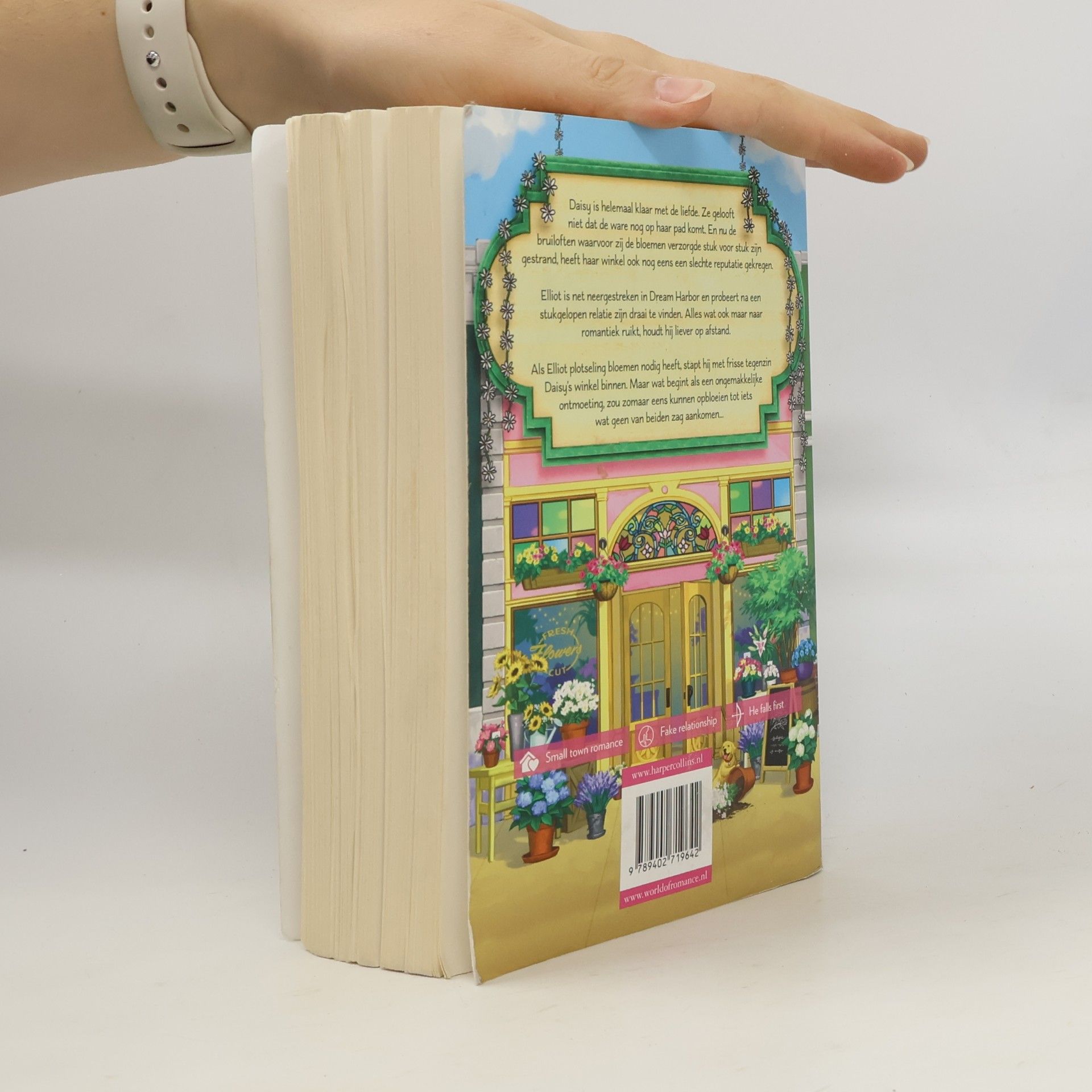 Laurie Gilmore Dream Harbor serie - 6: De Daisy Chain Bloemenwinkel