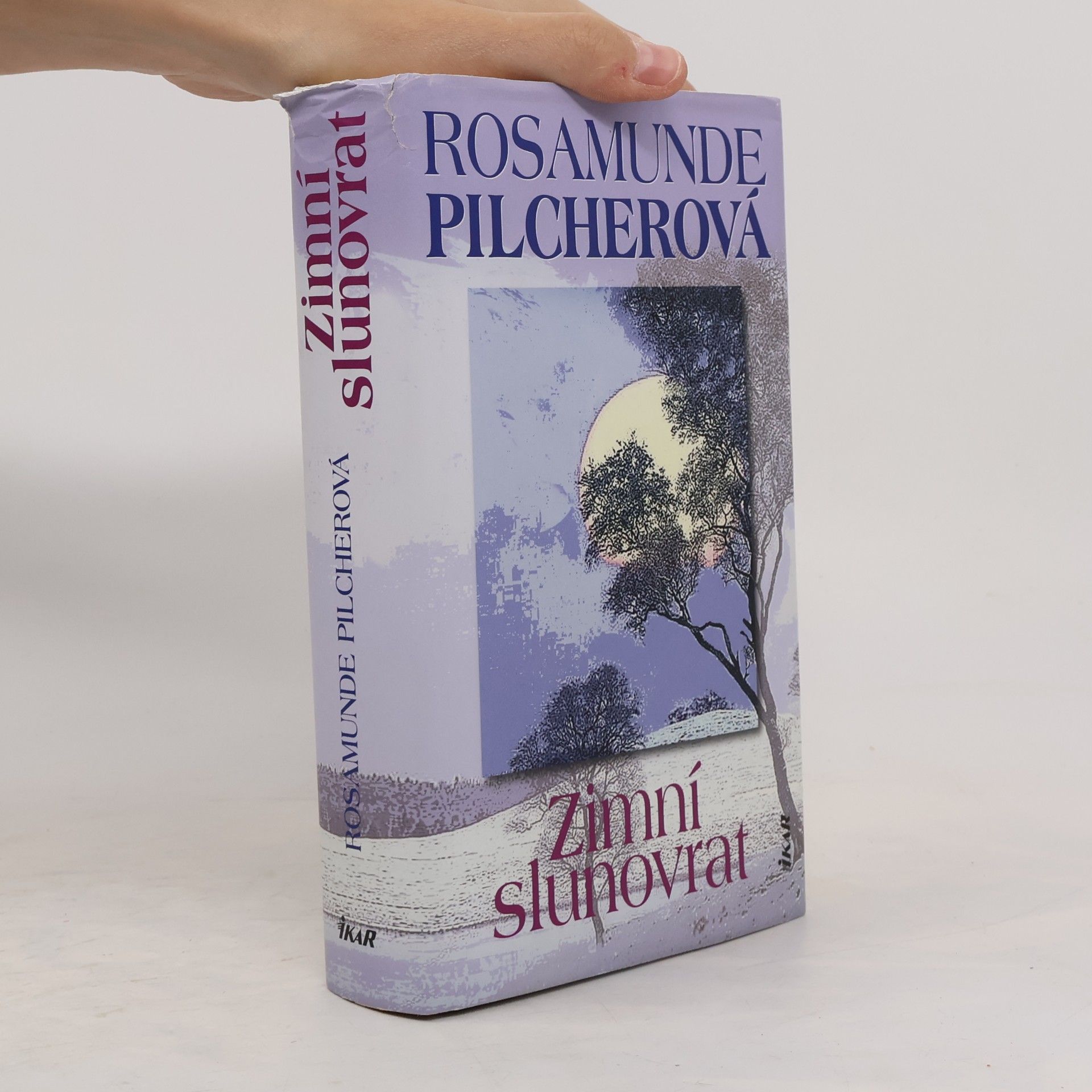 Rosamunde Pilcher Zimní slunovrat