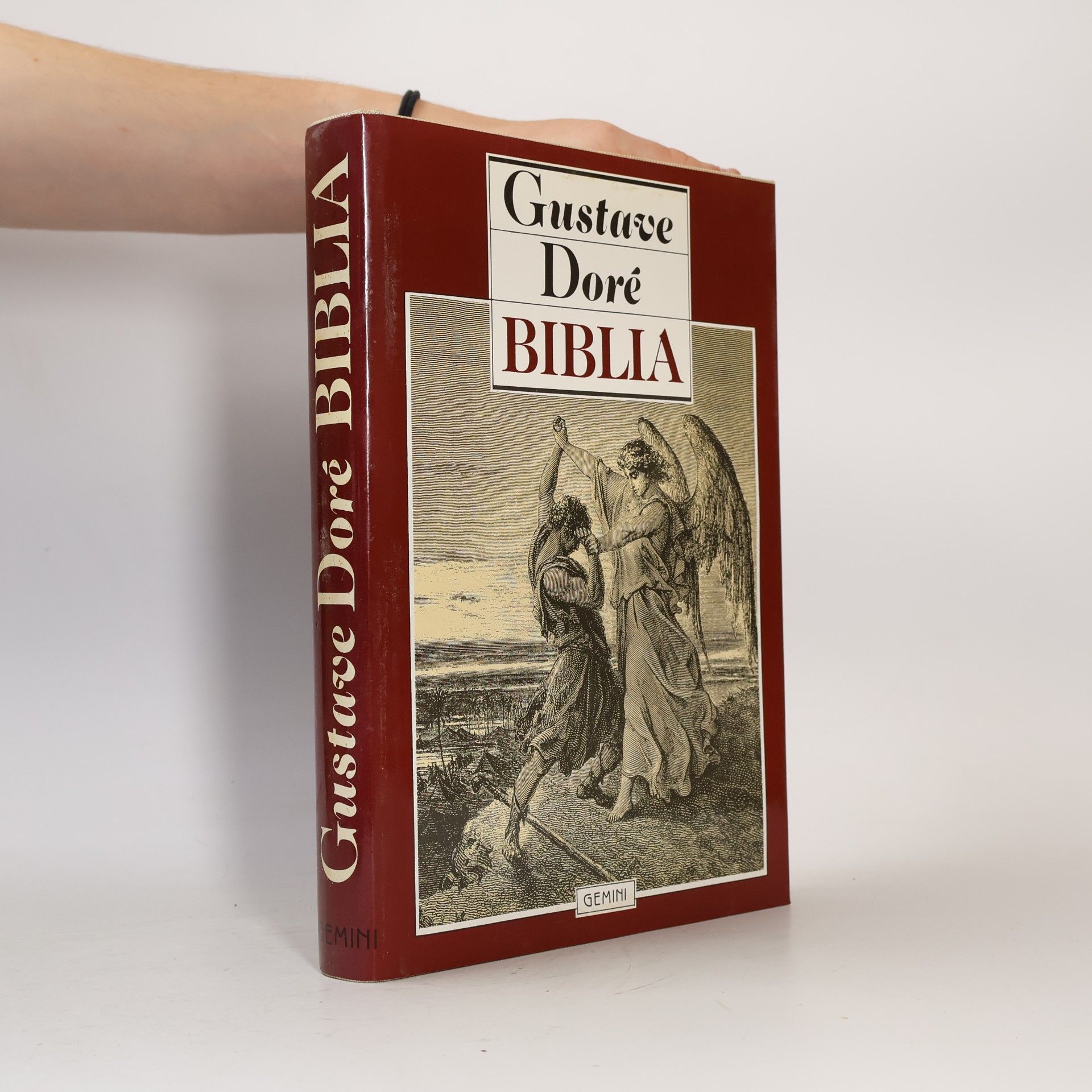 Jan Plesník Gustave Doré. Biblia