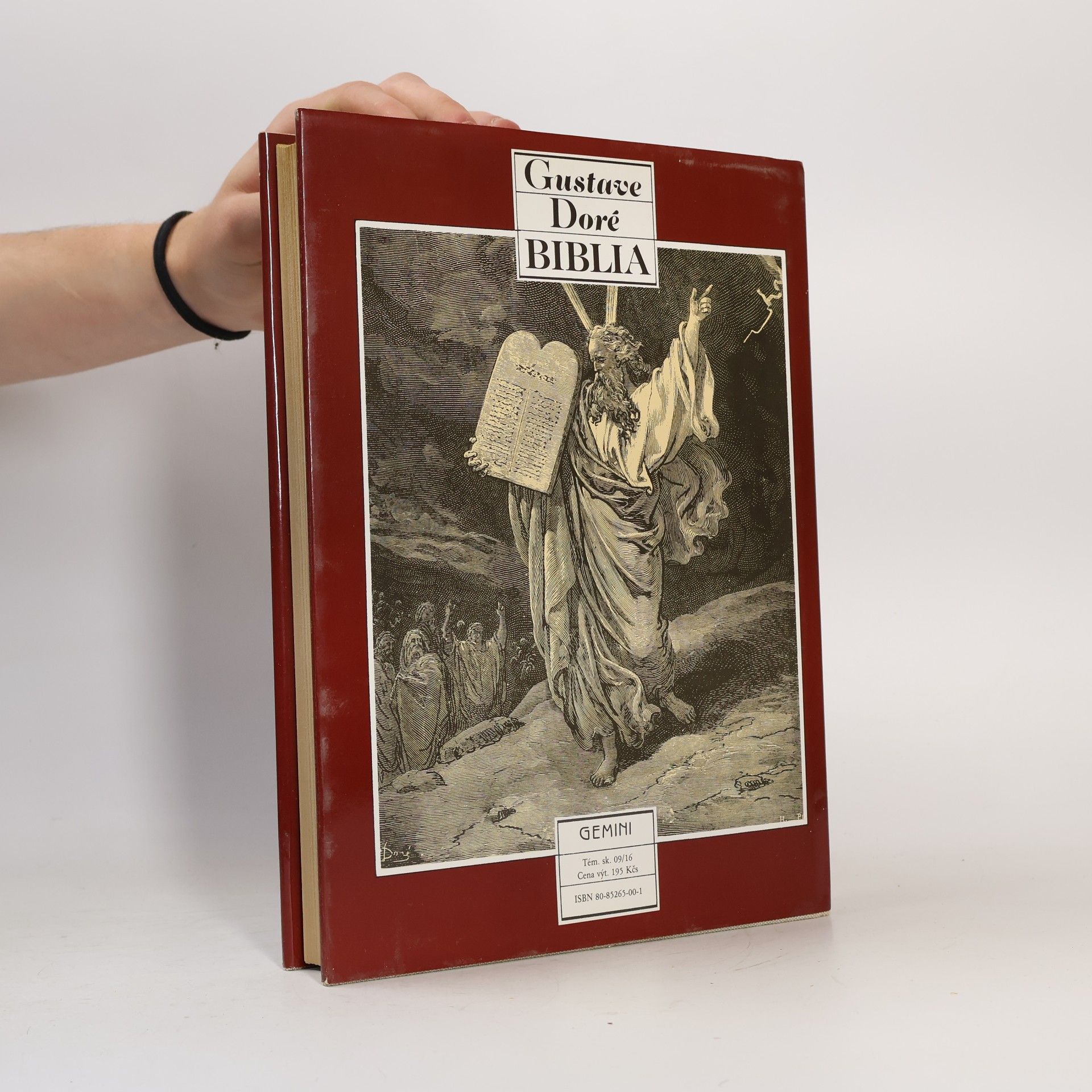 Jan Plesník Gustave Doré. Biblia