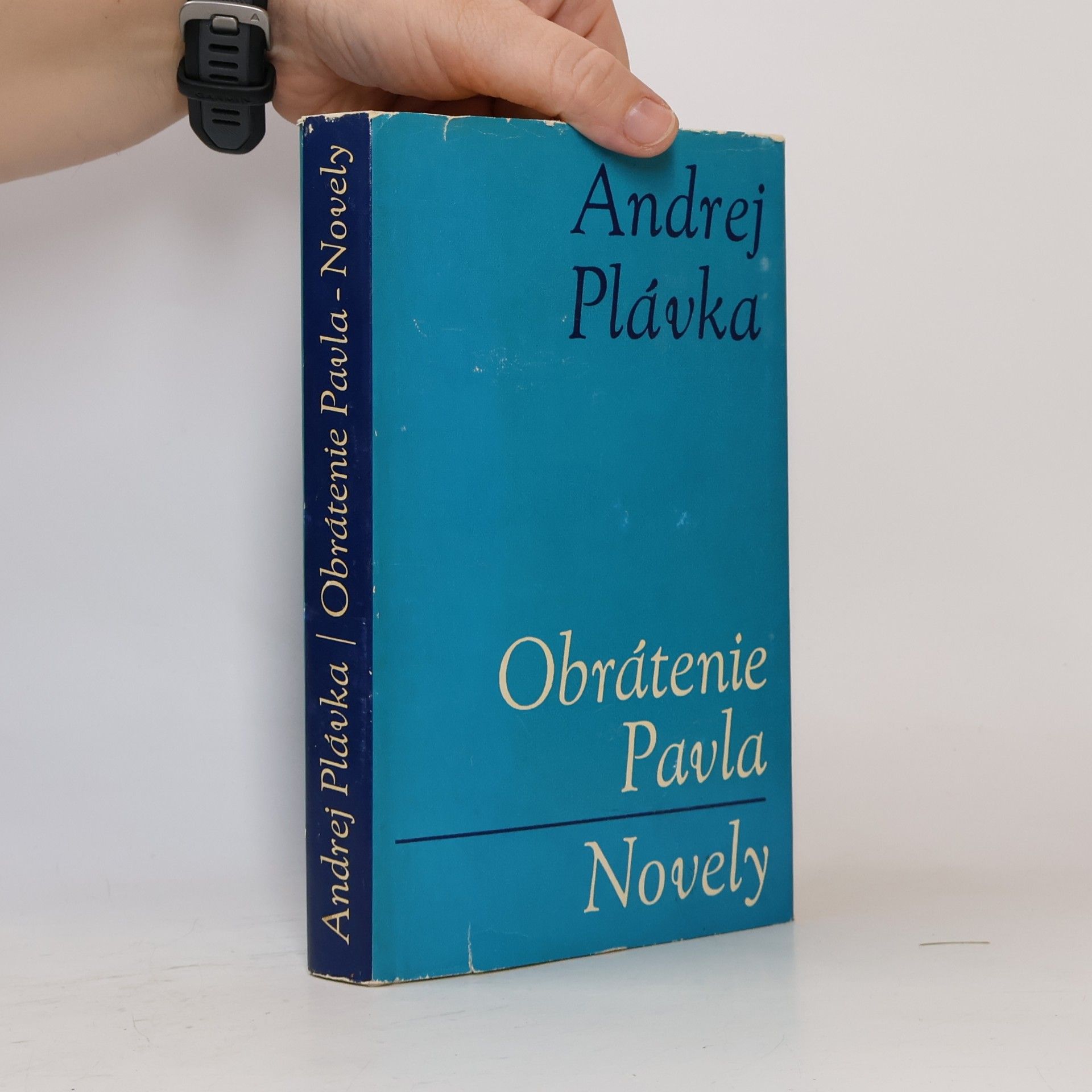 Andrej Plávka Obrátenie Pavla