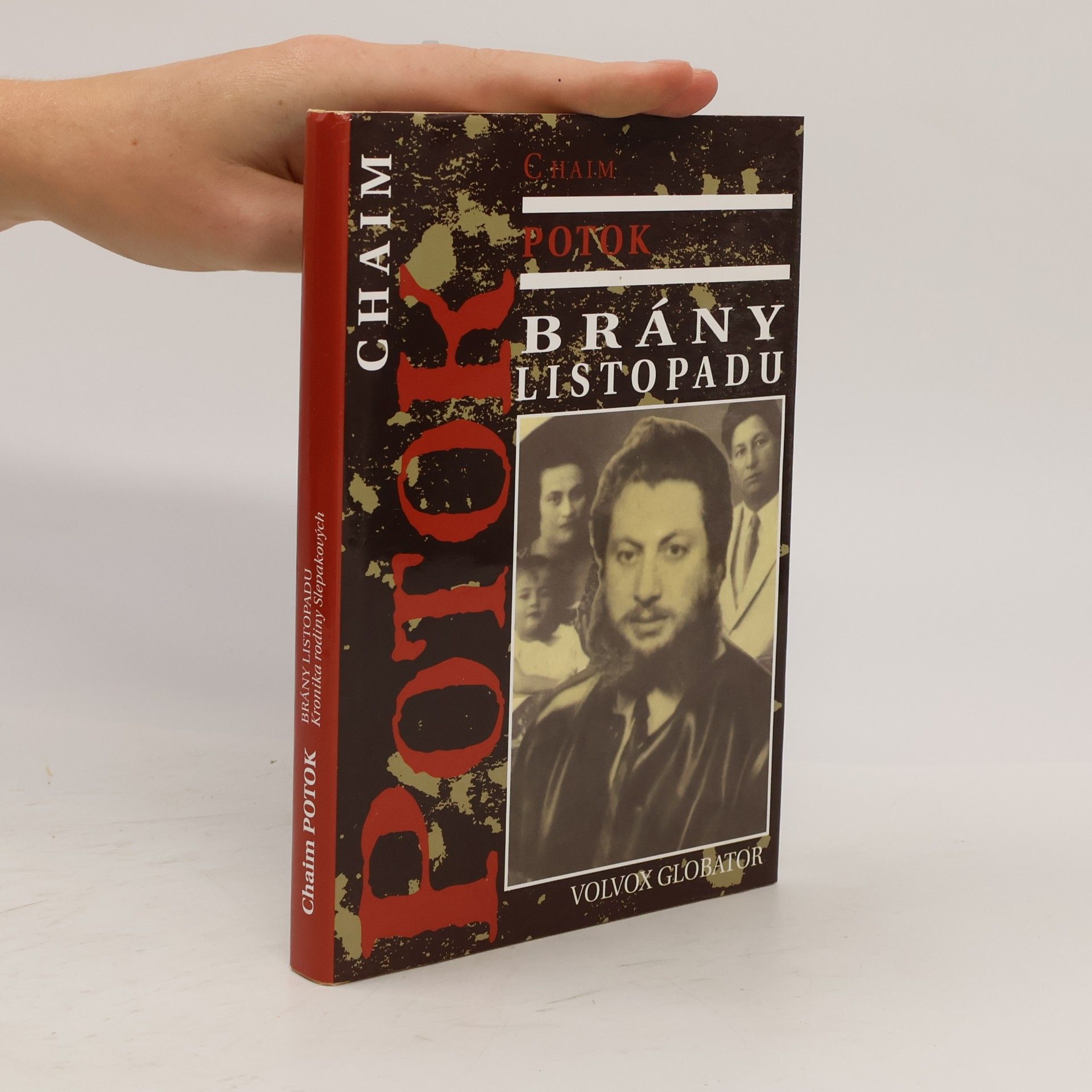 Chaim Potok Brány listopadu