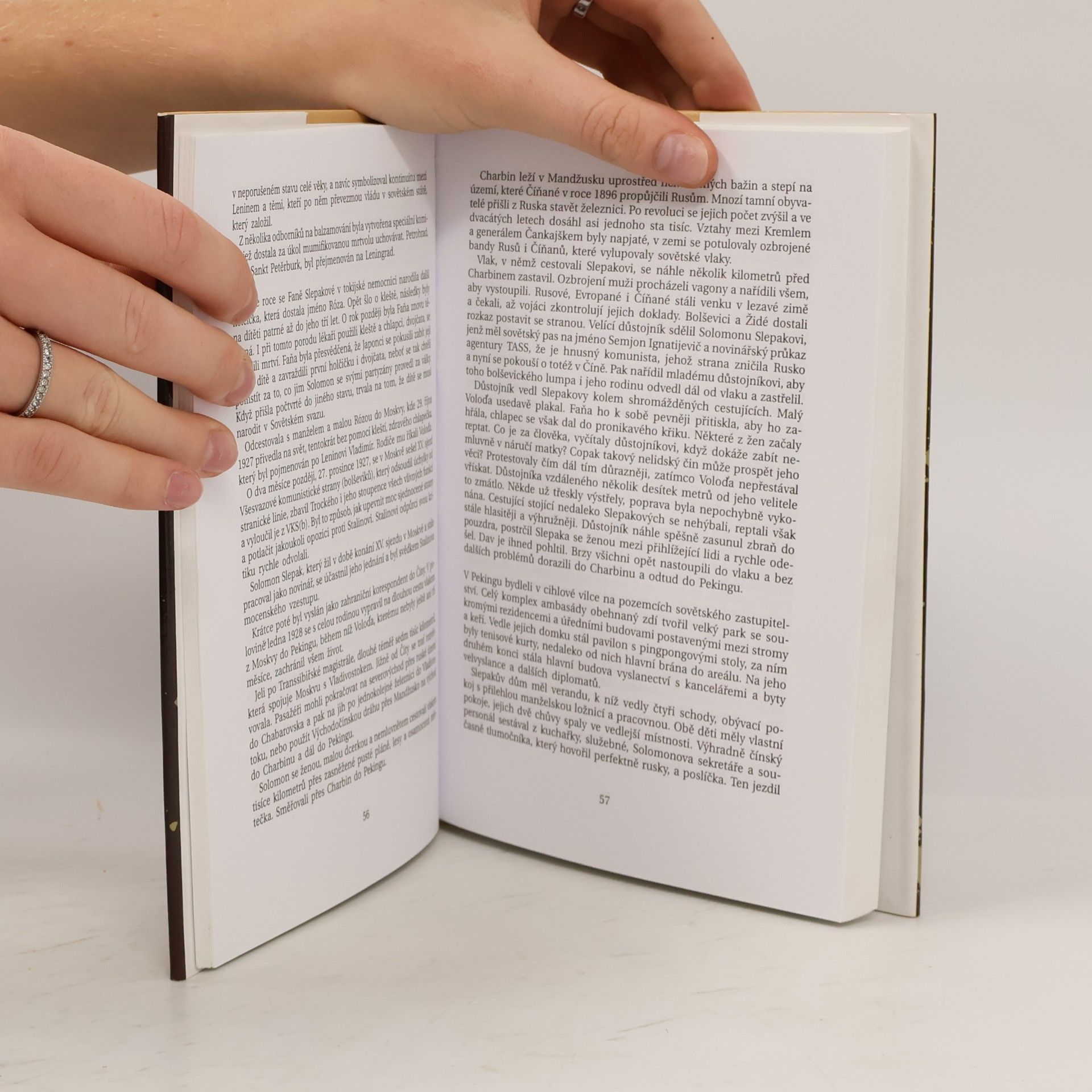 Chaim Potok Brány listopadu