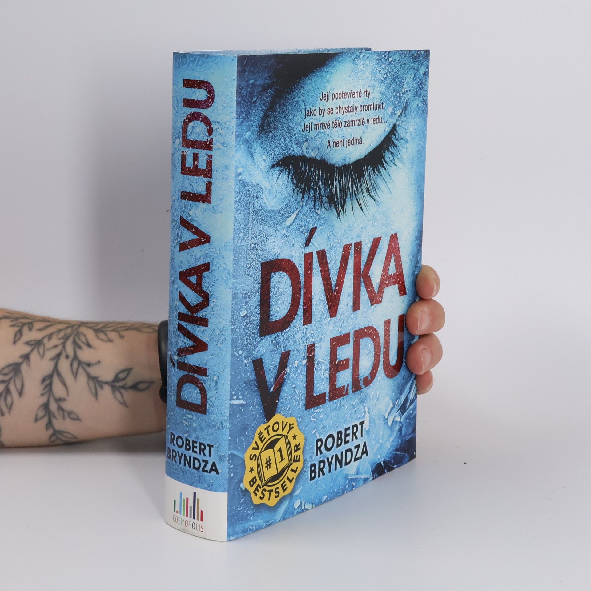 Robert Bryndza Dívka v ledu