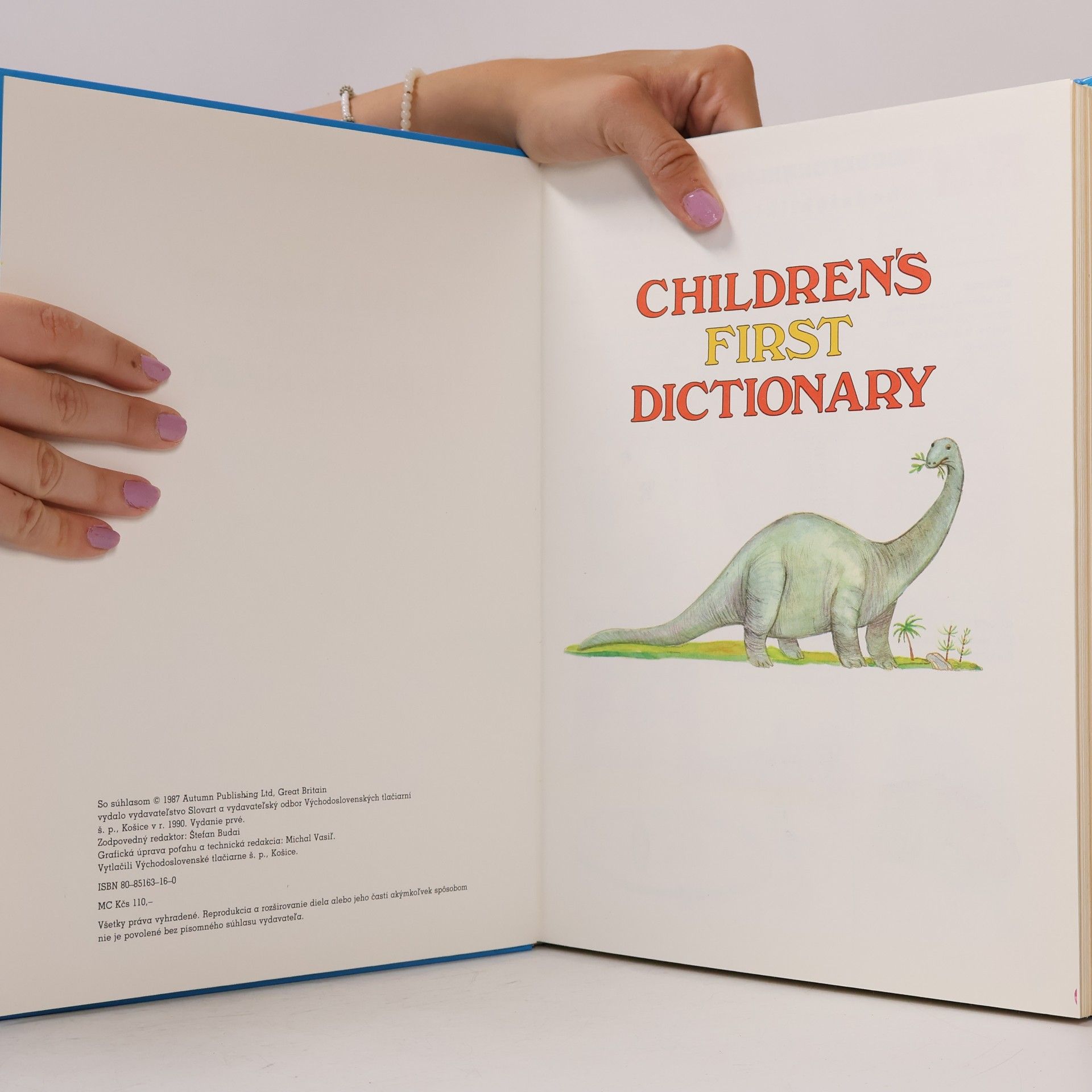 Autorenkollektiv Children's First Dictionary. Môj prvý anglický slovník
