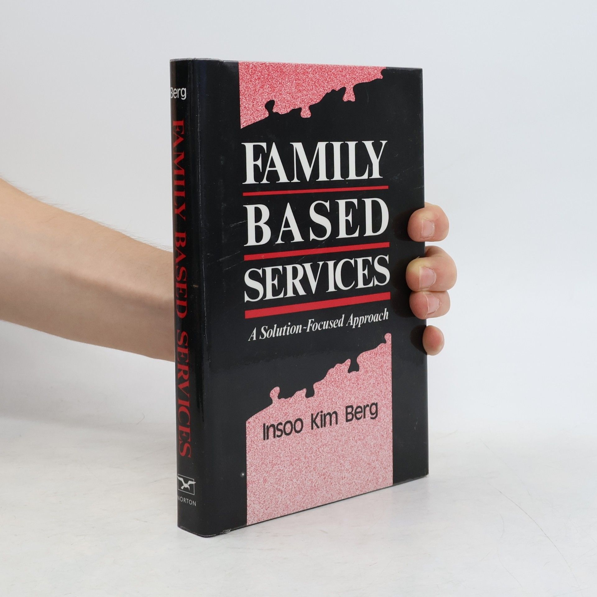 Insoo Kim Berg Family Based Services